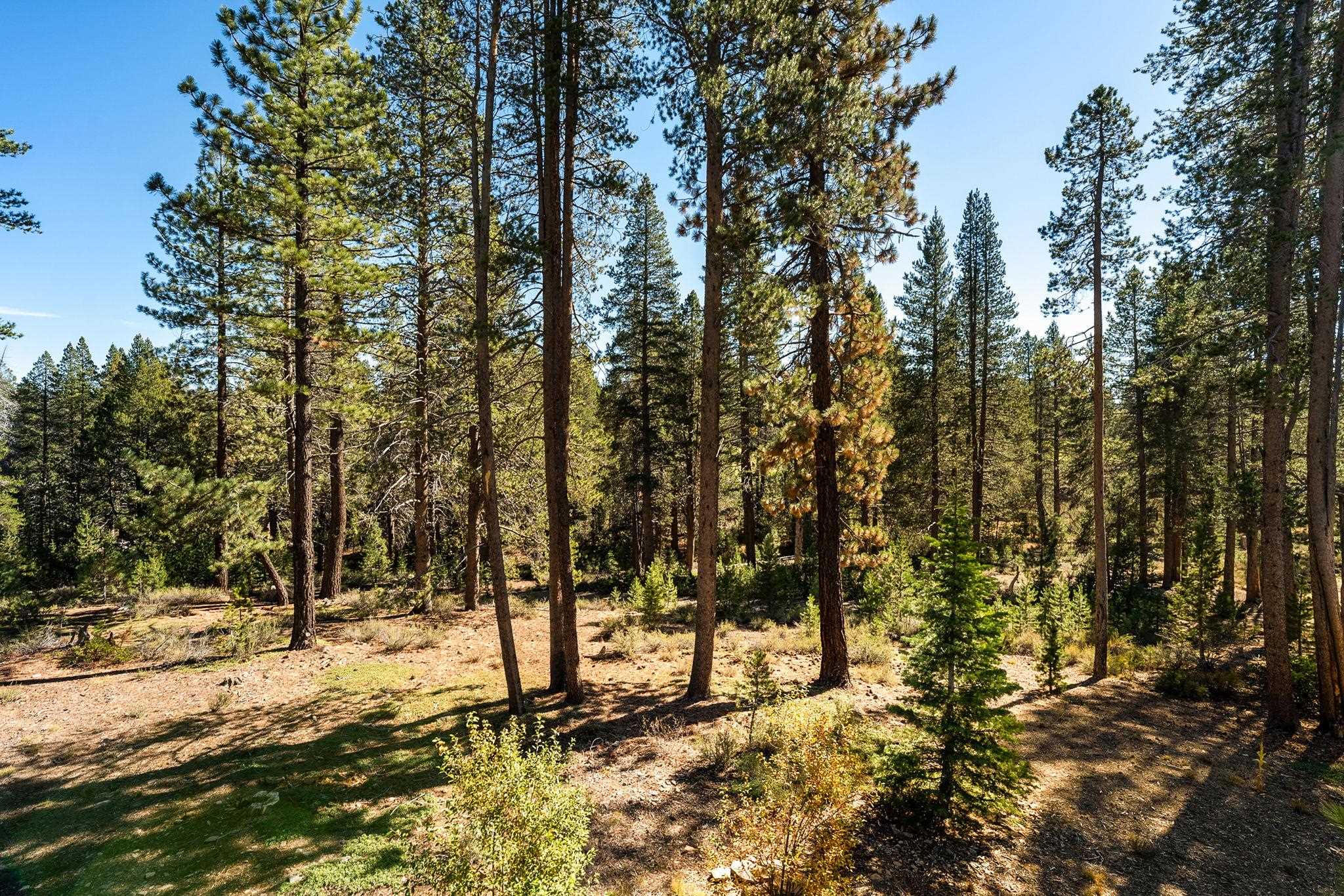 11791 Ghirard Road Truckee, CA 96161 - Photo 27 of 27 a view of a yard covered with snow