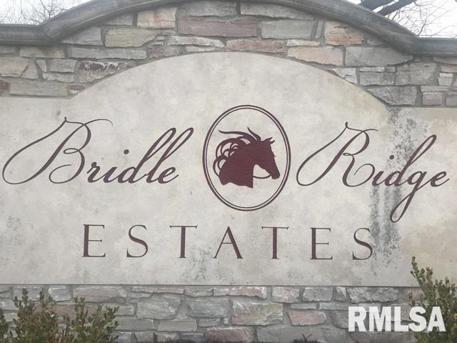 25 Stallion Way Goodfield, IL 61742 - Photo 1 of 3
