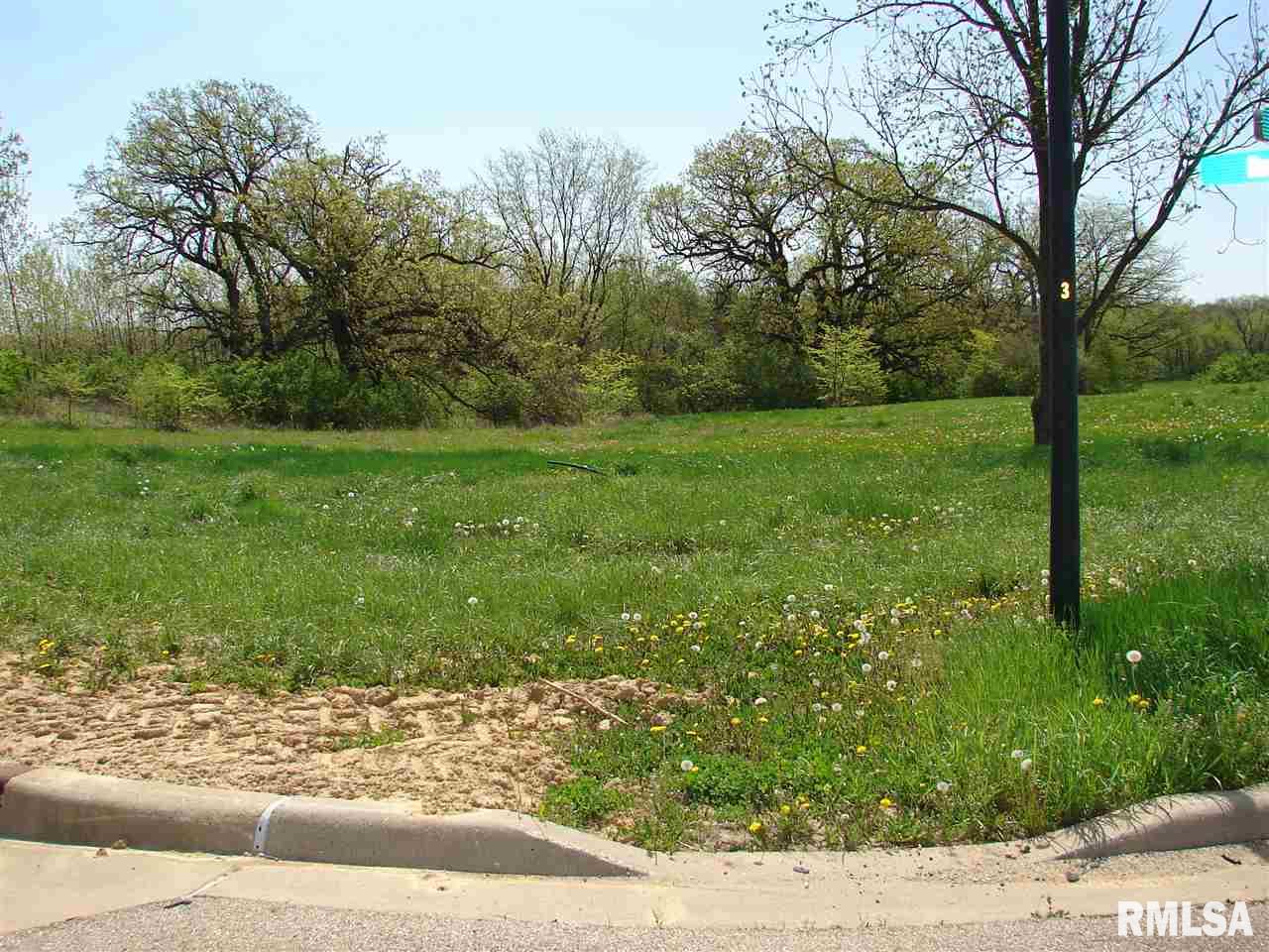 25 Stallion Way Goodfield, IL 61742 - Photo 3 of 3