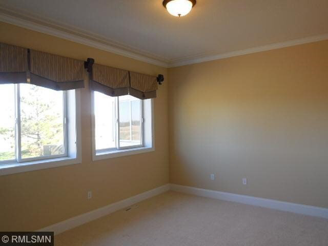 1373 Prairie Meadow Road Minnetrista, MN 55364 - Photo 11 of 18 Gallery Image 11