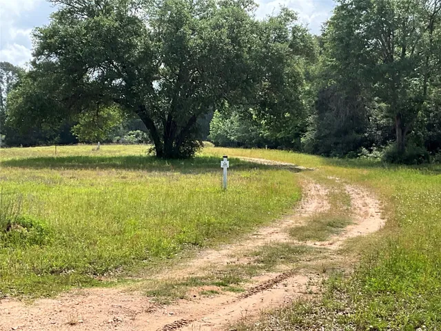 $825,000 | 119 Red Stag Lane, Columbus, TX 78934