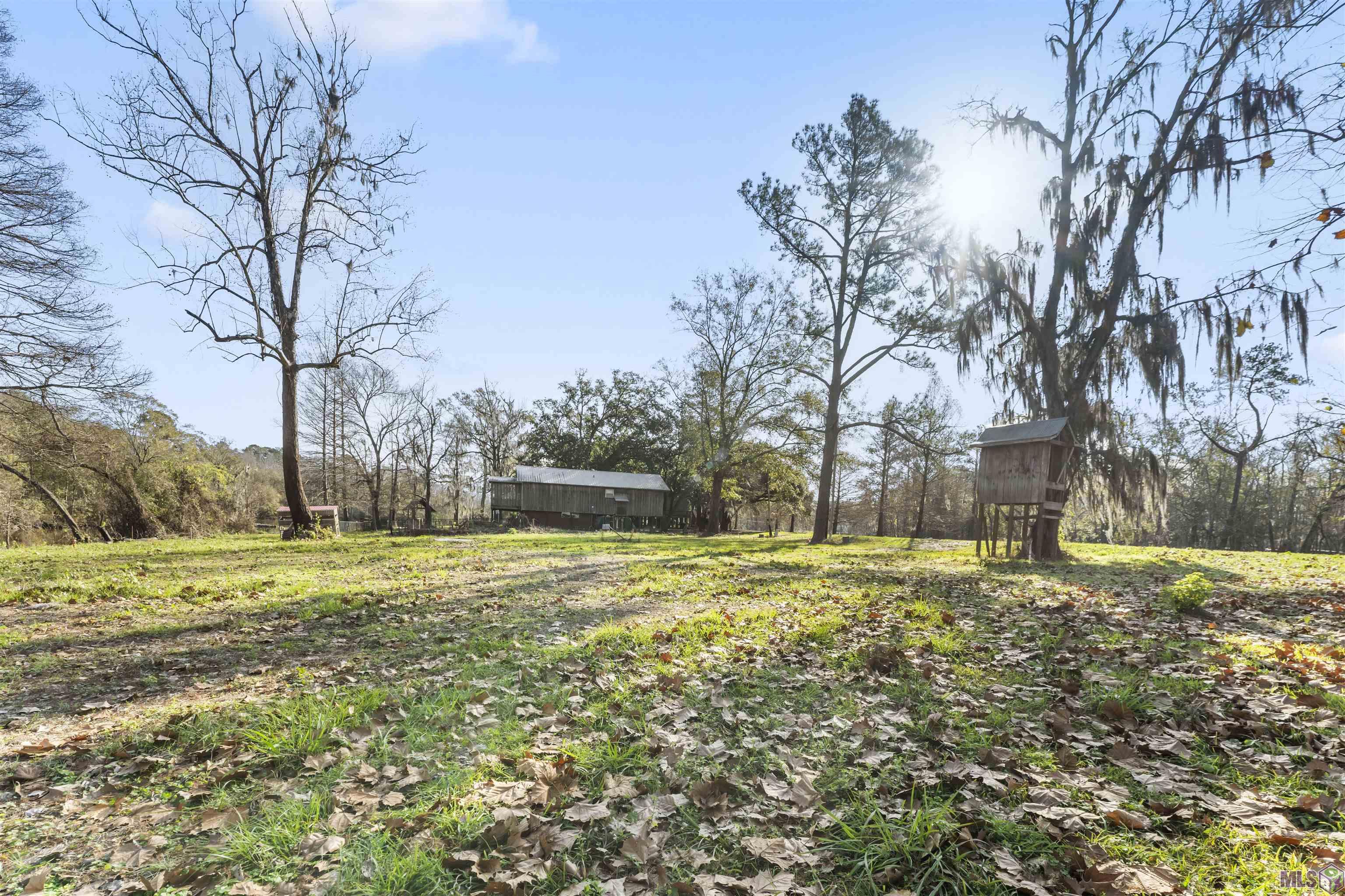 0 Manchac Point Road Prairieville, LA 70769 - Photo 11 of 12