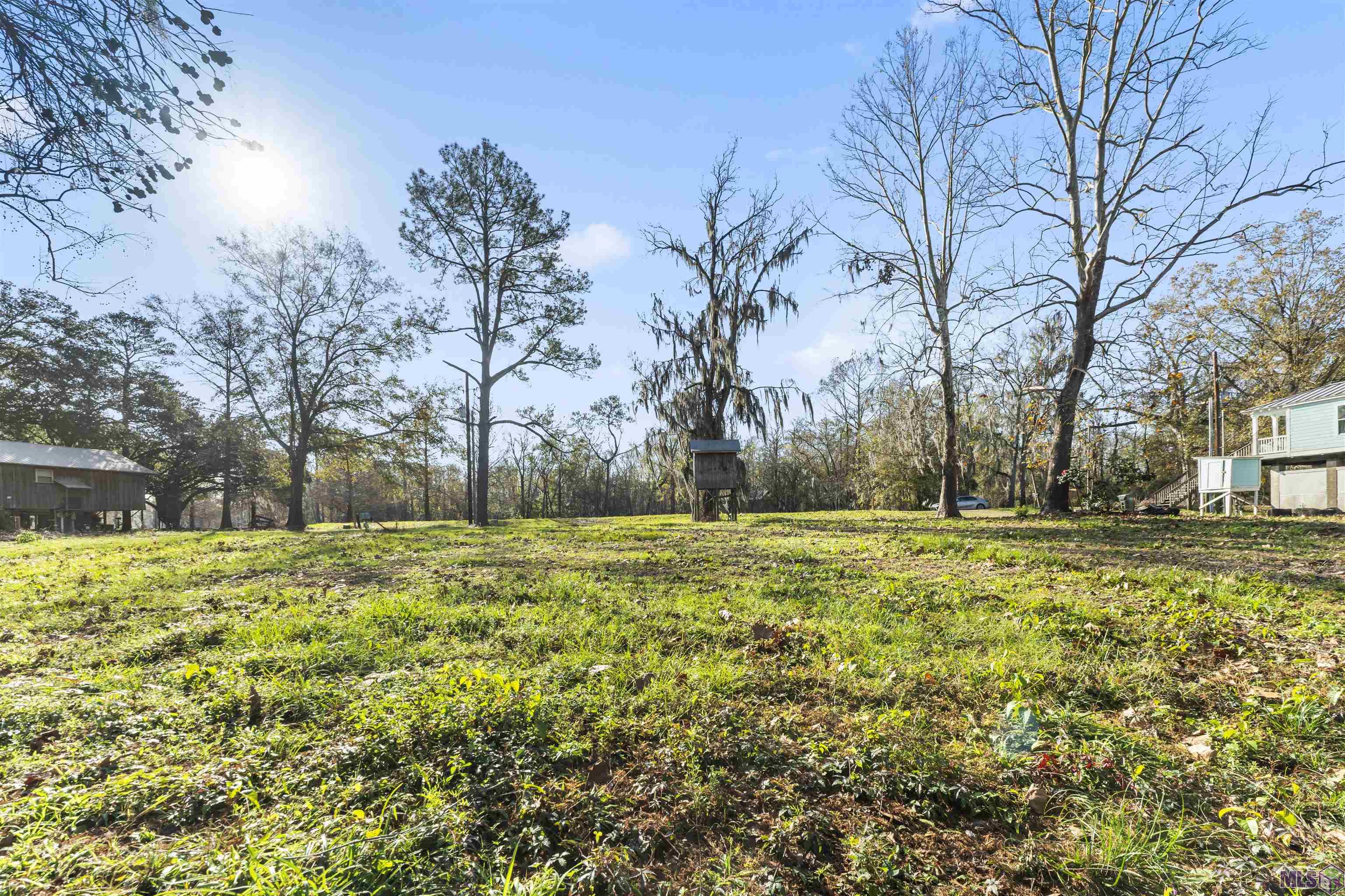 0 Manchac Point Road Prairieville, LA 70769 - Photo 7 of 12