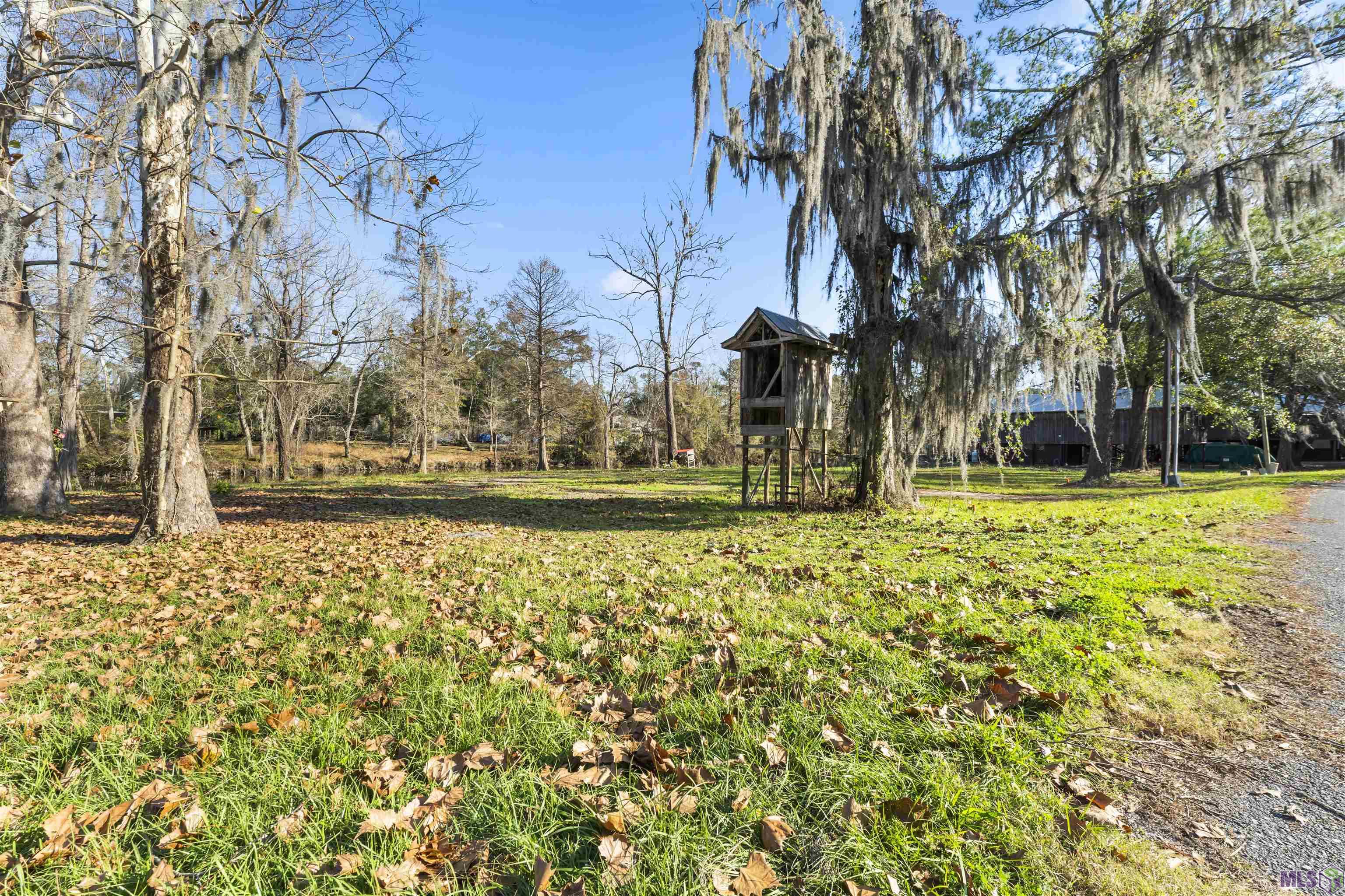 0 Manchac Point Road Prairieville, LA 70769 - Photo 9 of 12