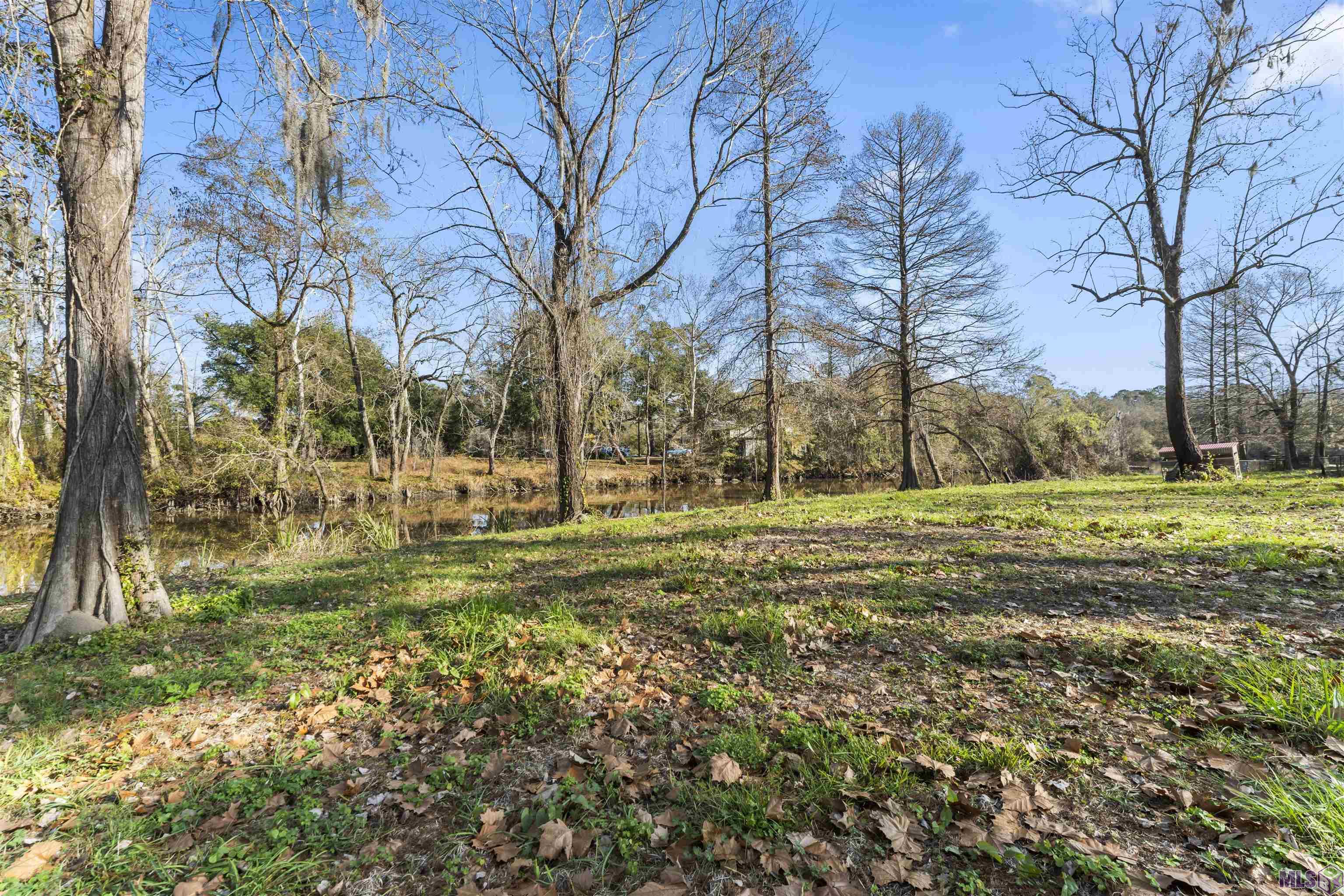 0 Manchac Point Road Prairieville, LA 70769 - Photo 10 of 12