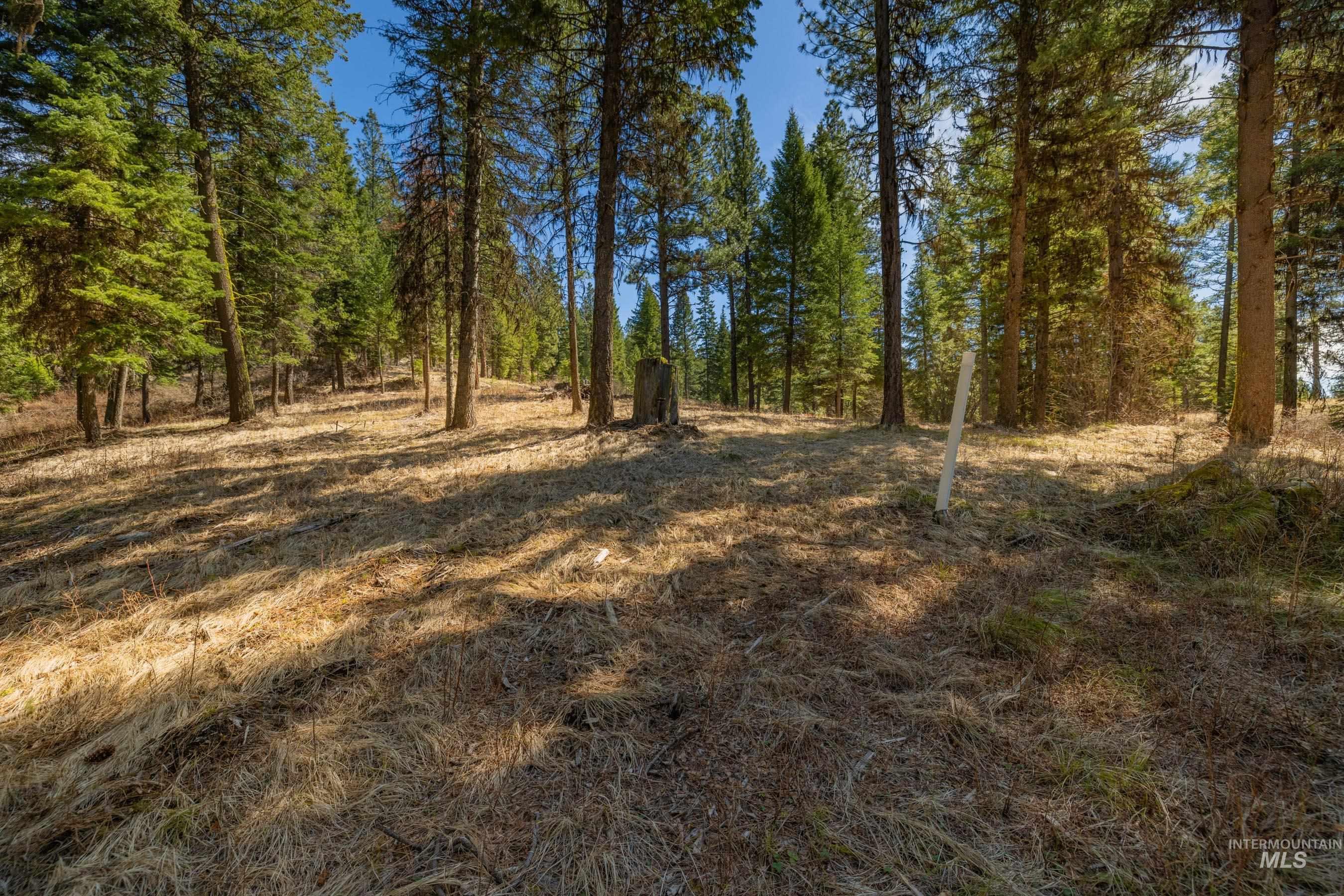 8 York Street McCall, ID 83638 - Photo 12 of 40