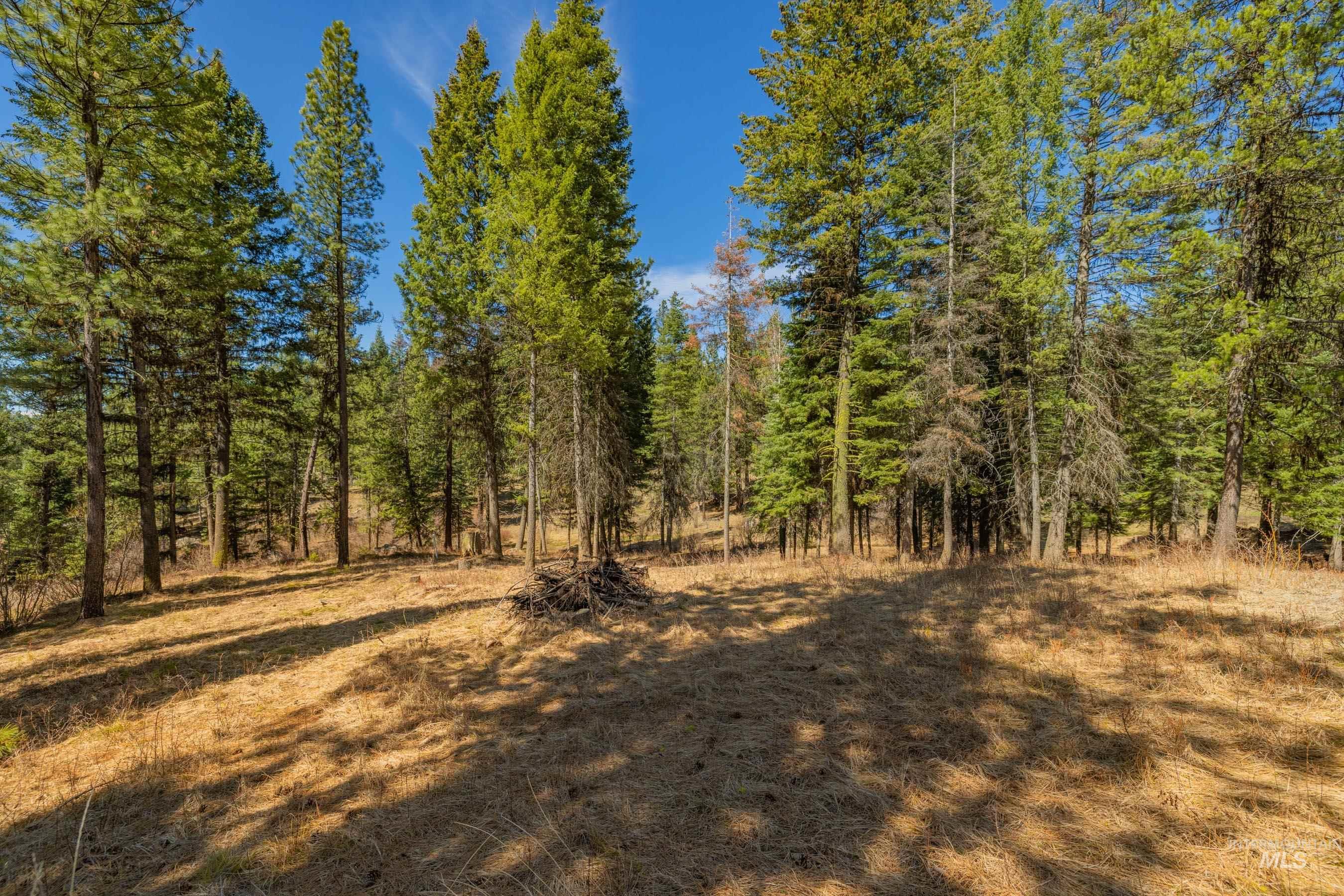 8 York Street McCall, ID 83638 - Photo 5 of 40