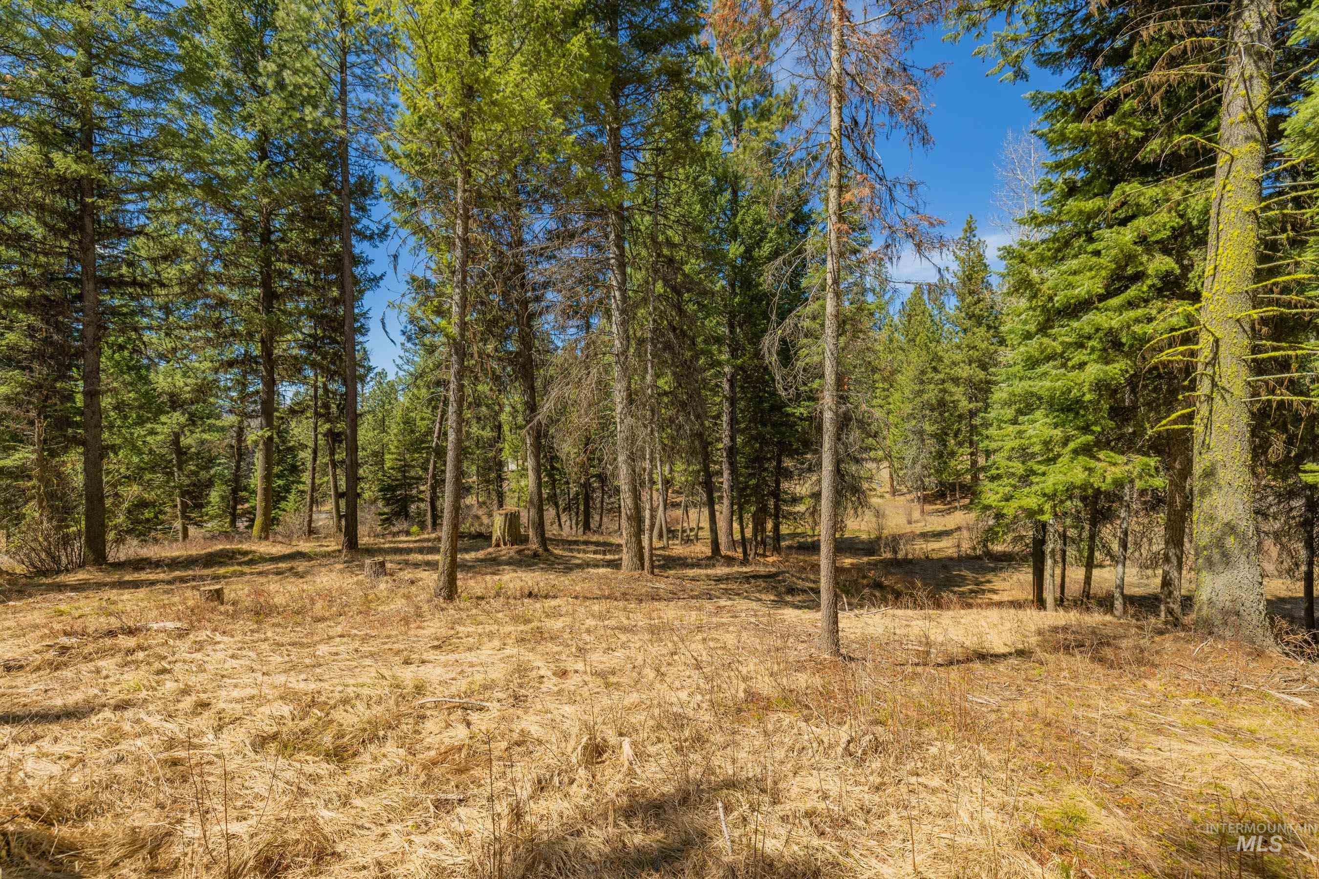 8 York Street McCall, ID 83638 - Photo 6 of 40