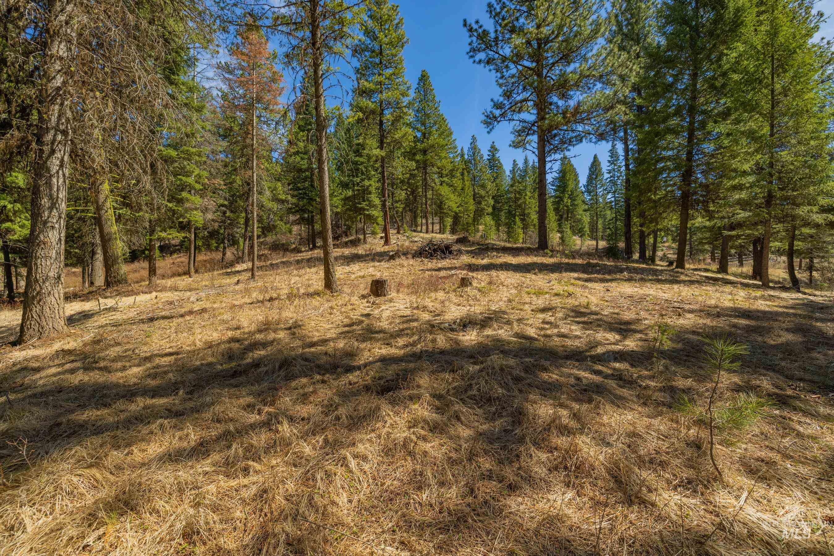 8 York Street McCall, ID 83638 - Photo 8 of 40