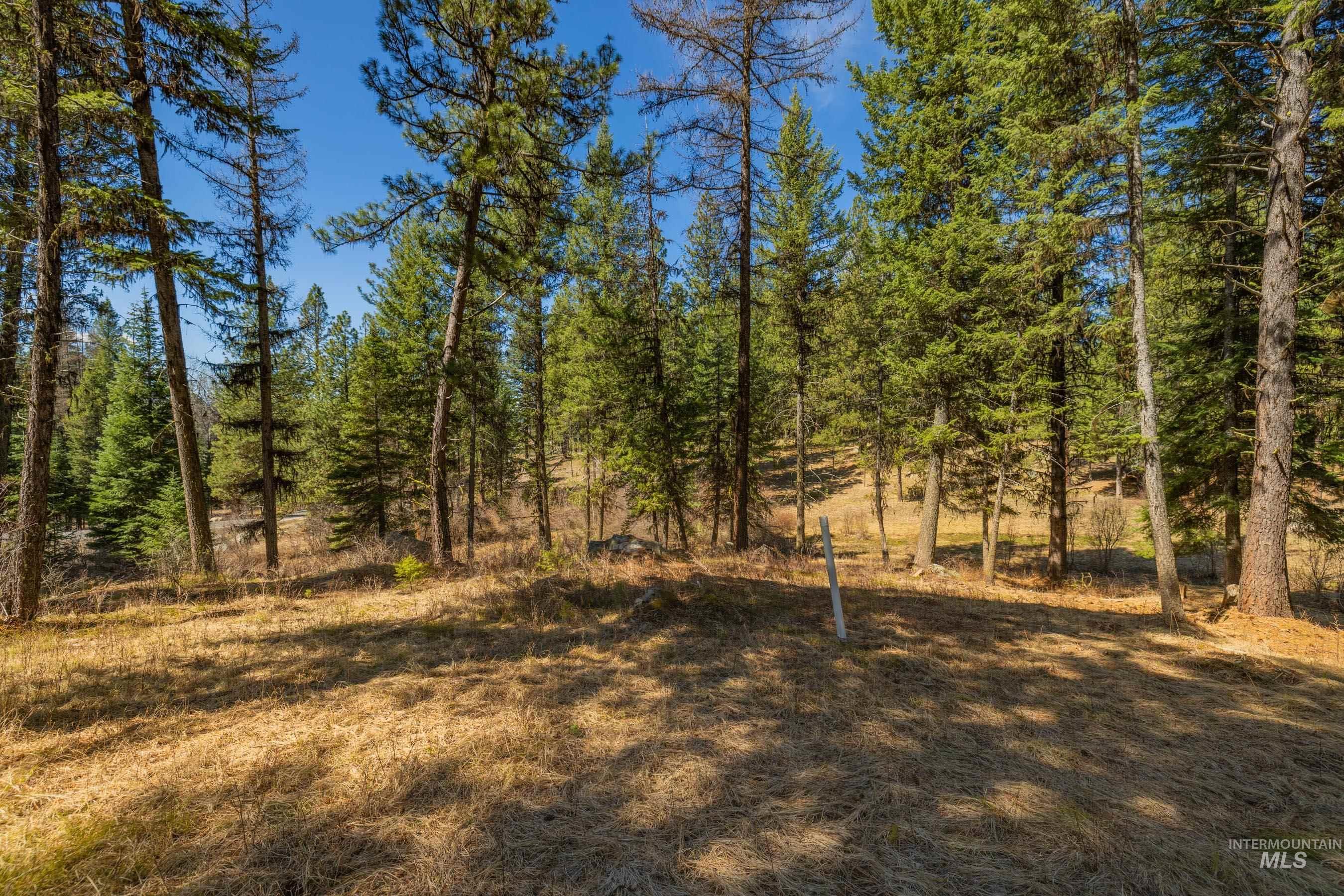 8 York Street McCall, ID 83638 - Photo 9 of 40