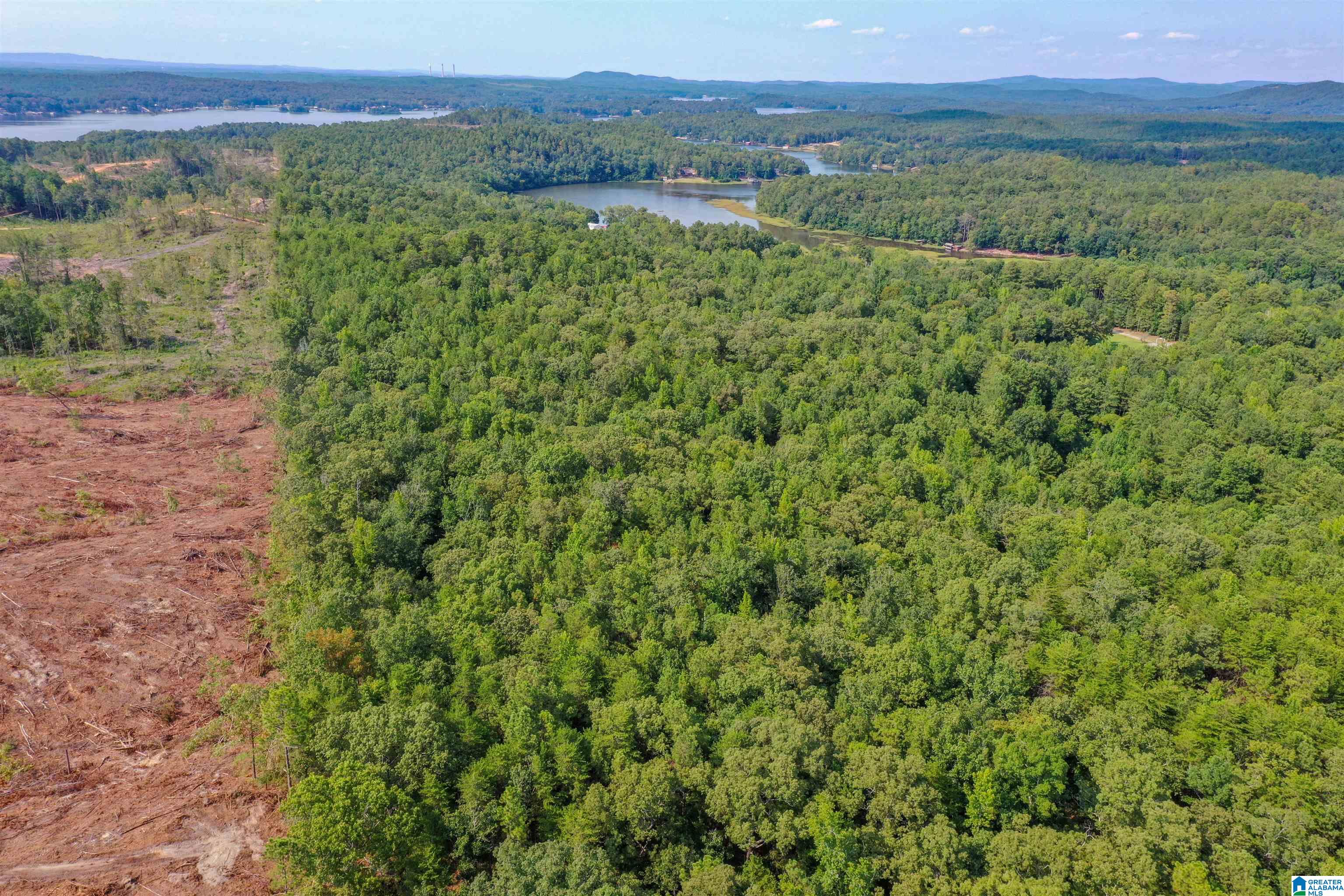Oak Road Sylacauga, AL 35151 - Photo 6 of 9