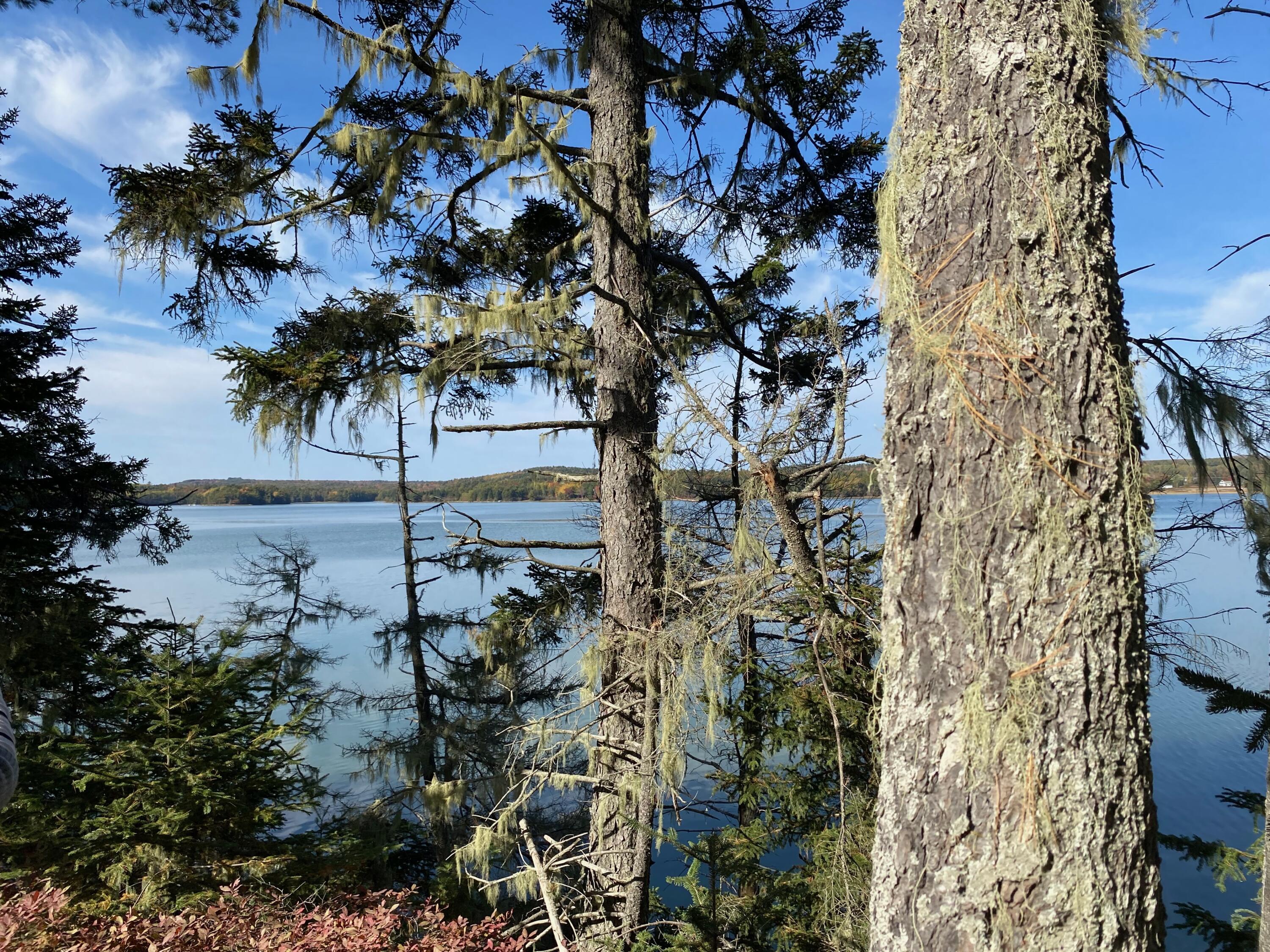 0 South Bay Road Franklin, ME 04634 - Photo 10 of 15 IMG_0421