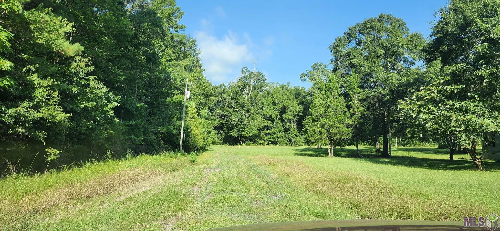 Tbd Reames Road Zachary, LA 70791 - Photo 4 of 4 Gallery Image 4