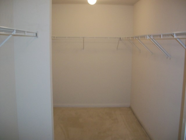 360 Stonegate Road Bolingbrook, IL 60440 - Photo 12 of 20
