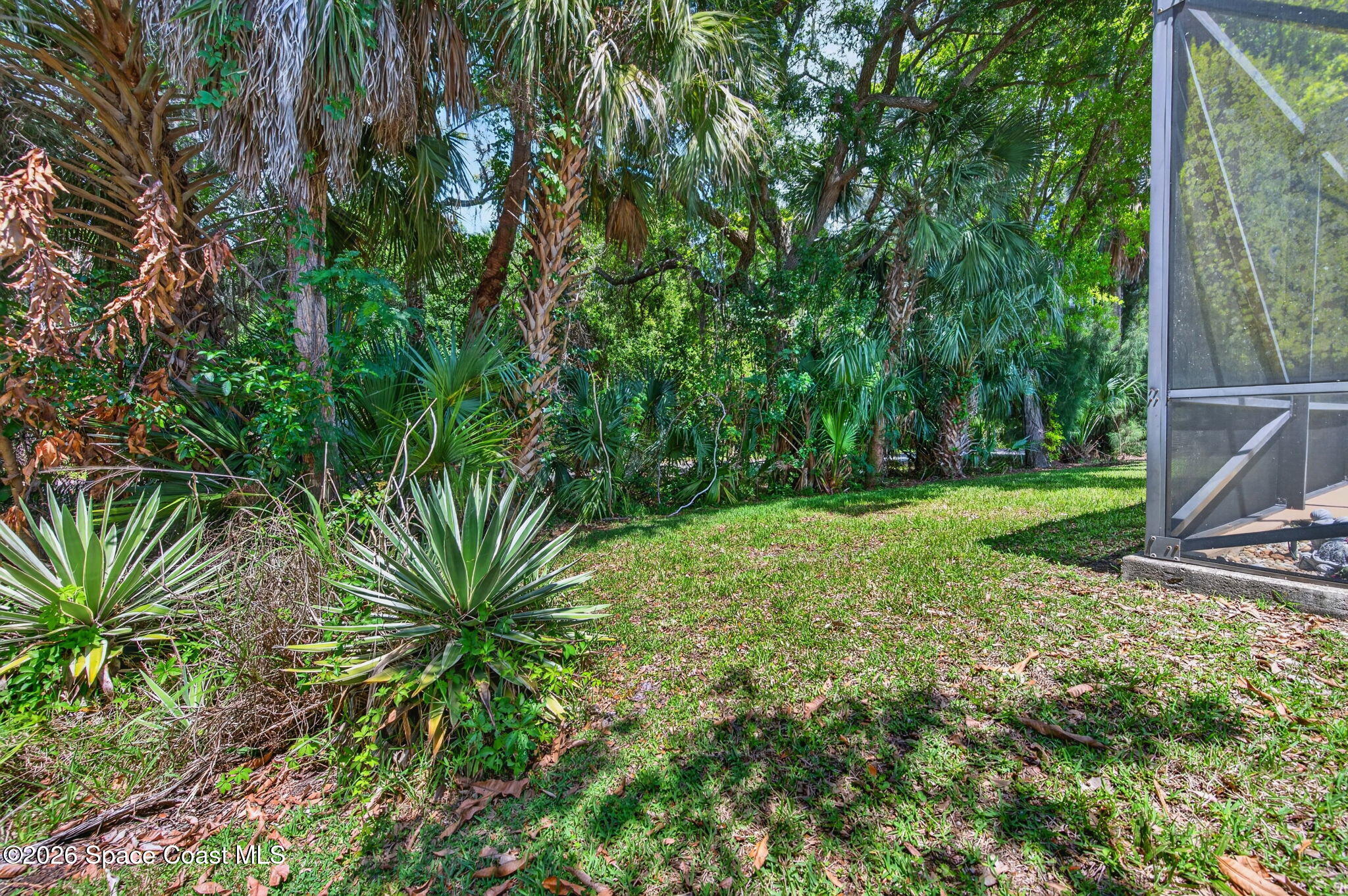440 Mohawk Trail Merritt Island, FL 32953 - Photo 59 of 86 a view of a yard with plants and a large tree
