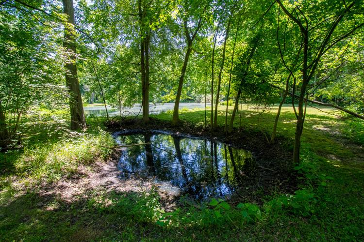 3515 Locust Road South Bend, IN 46614 - Photo 31 of 36 Gallery Image 31