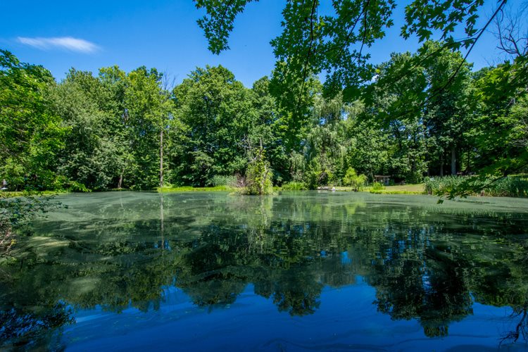 3515 Locust Road South Bend, IN 46614 - Photo 9 of 36 Gallery Image 9