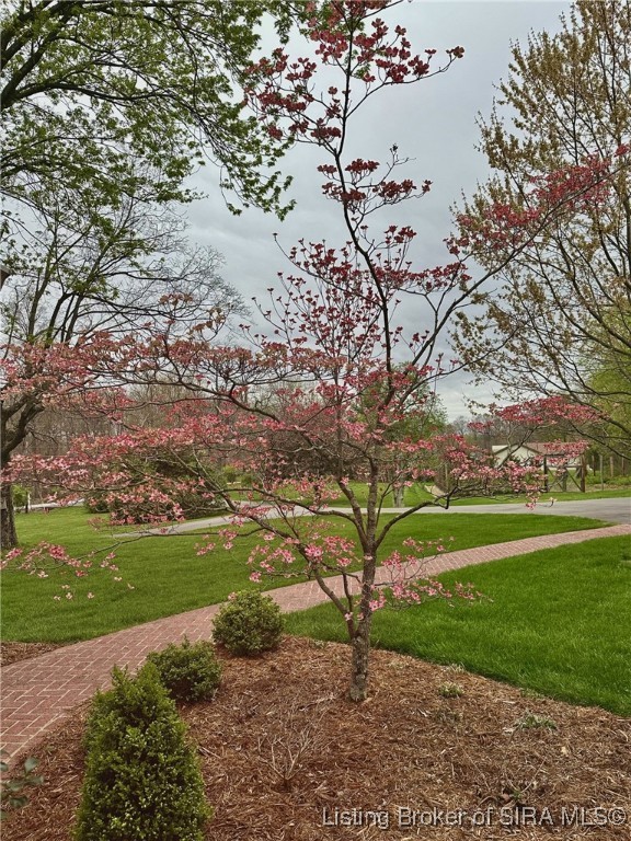 2358 Spickert Knob Road Floyds Knobs, IN 47119 - Photo 97 of 99