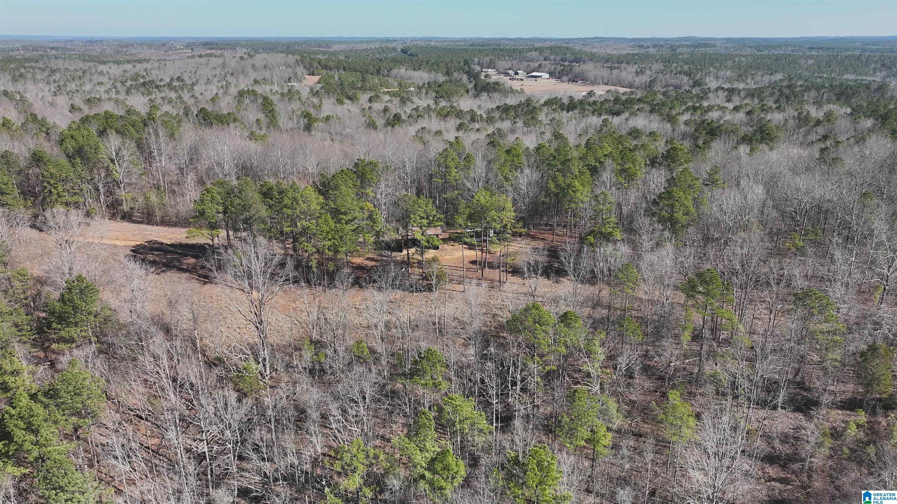 6171 Highway 102, Unit 1 Fayette, AL 35555 - Photo 36 of 68