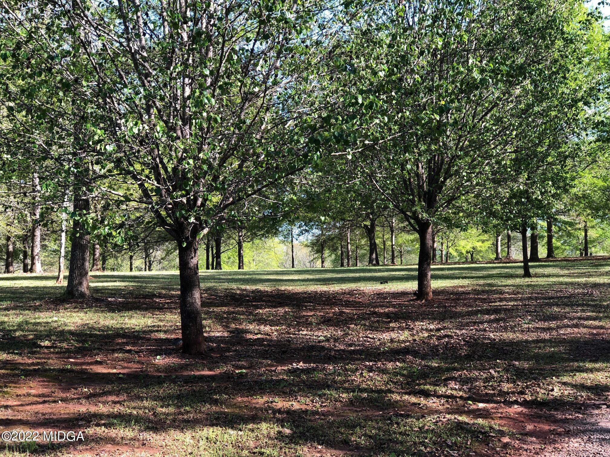 535 Pine Grove Church Road Culloden, GA 31016 - Photo 2 of 44 IMG_9779