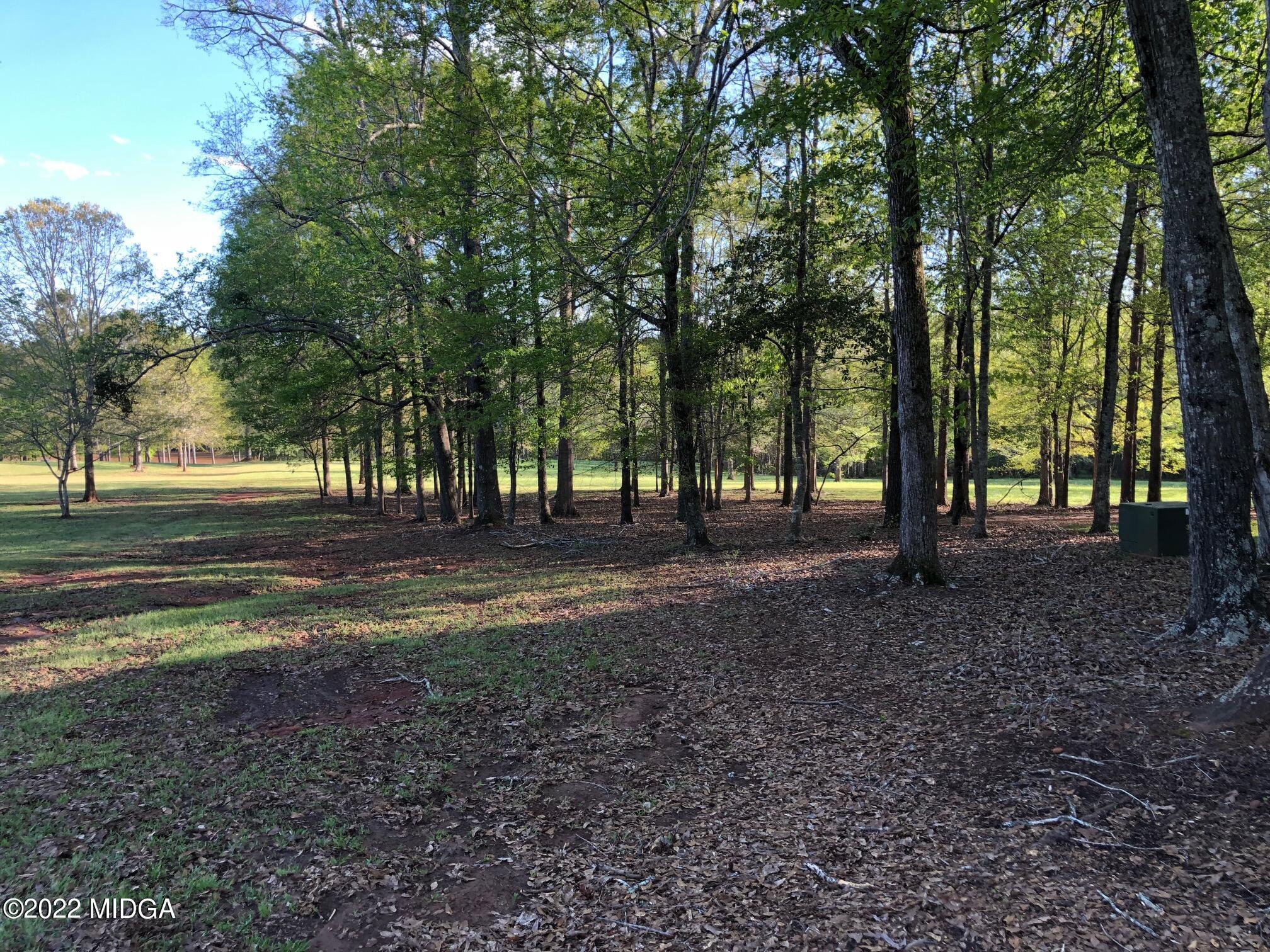 535 Pine Grove Church Road Culloden, GA 31016 - Photo 39 of 44 IMG_9819