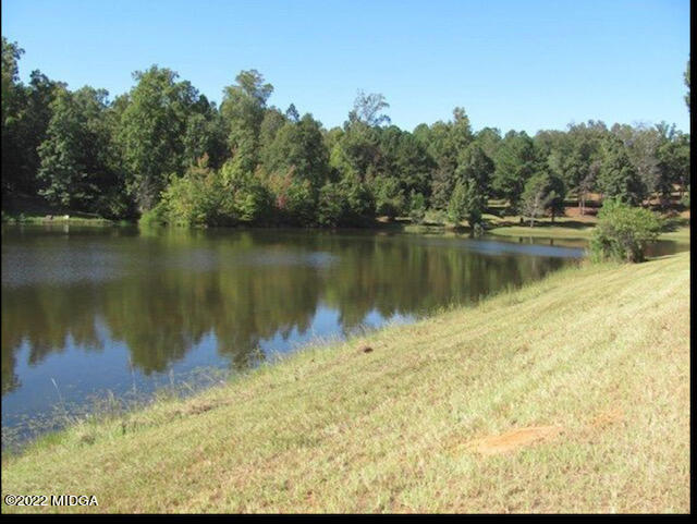 535 Pine Grove Church Road Culloden, GA 31016 - Photo 44 of 44 IMG_9938