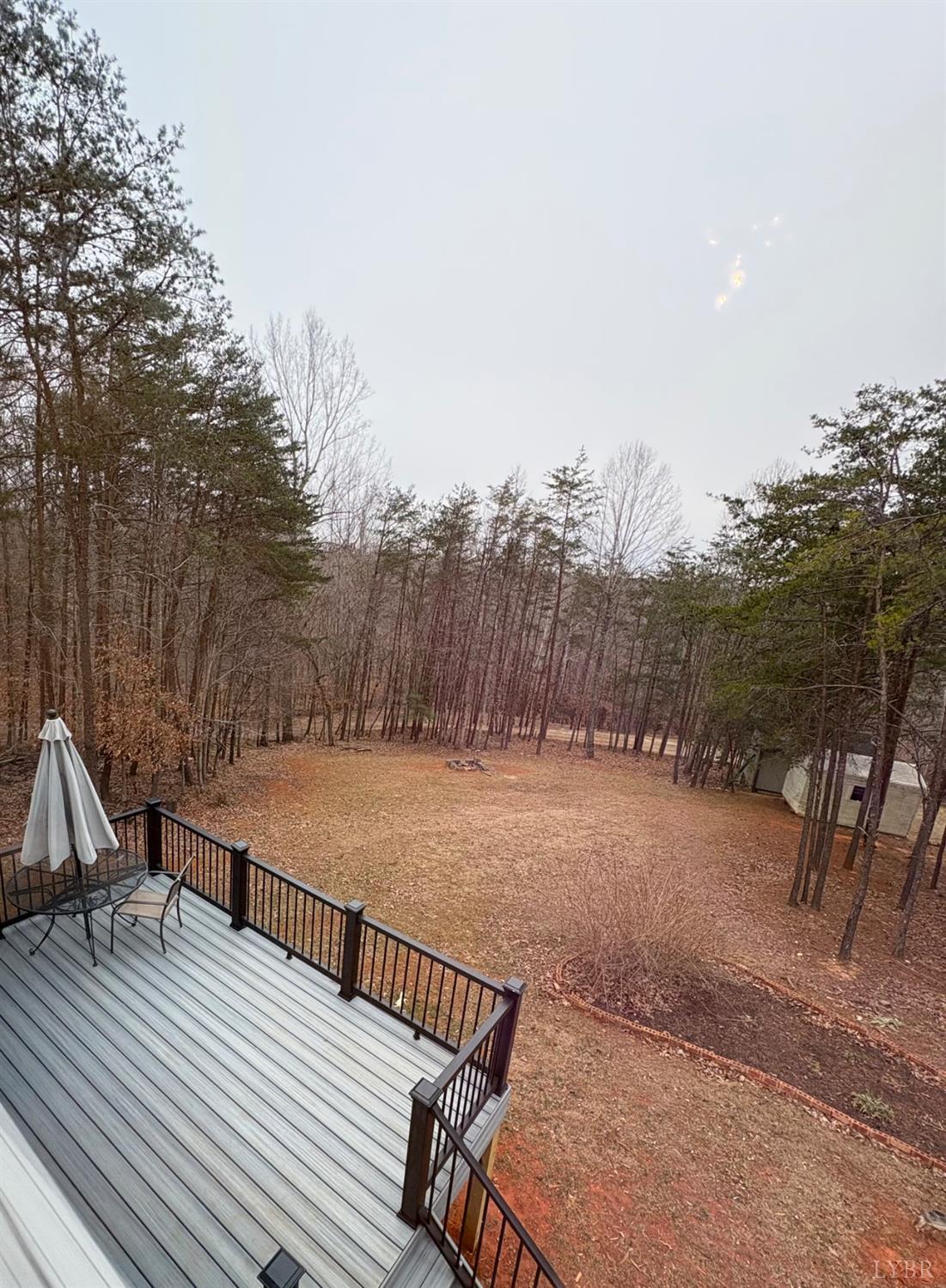 324 Ruth Drive Madison Heights, VA 24572 - Photo 3 of 31