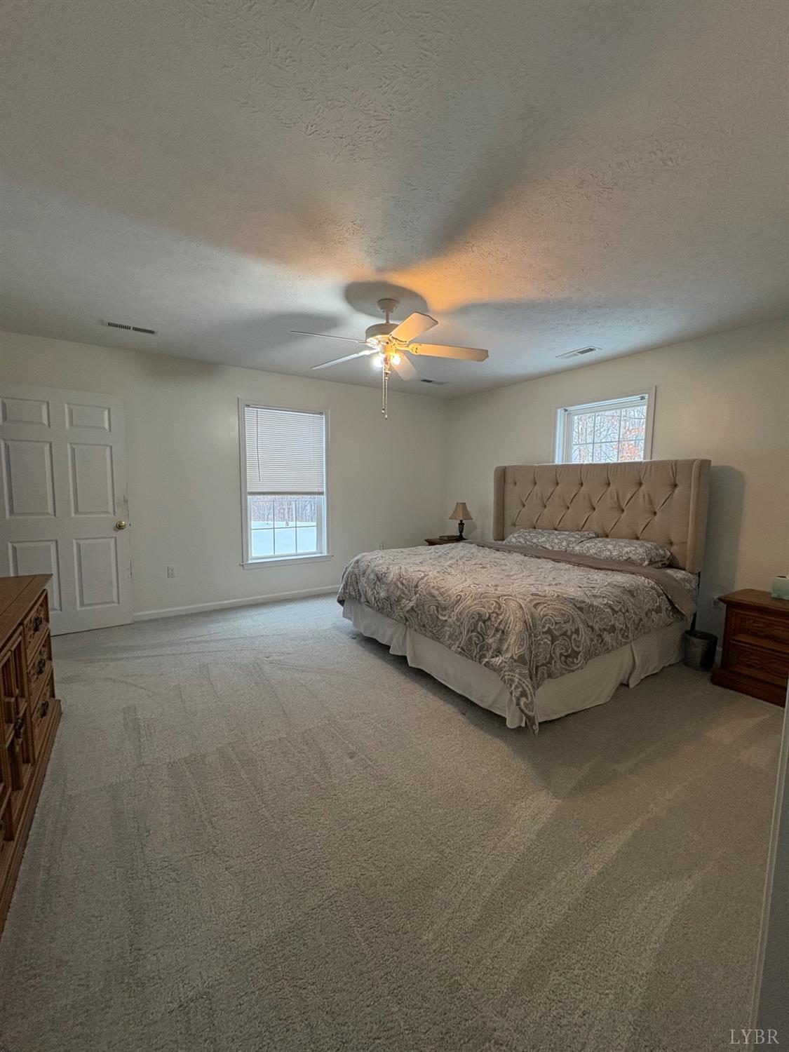 324 Ruth Drive Madison Heights, VA 24572 - Photo 5 of 31 Primary main level bedroom with new carpet. Has its own bath and walk in closet.