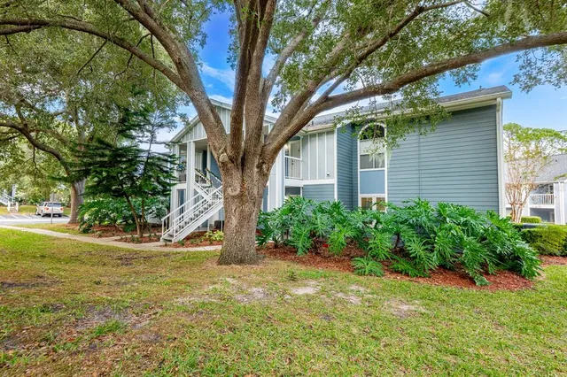 a view of a house with a tree and plants