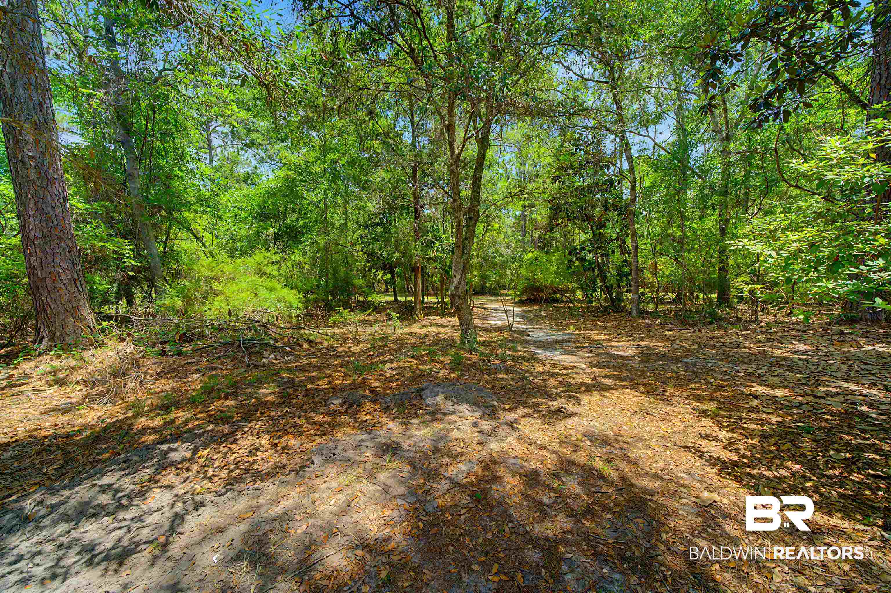 22963 Highway 98 Foley, AL 36535 - Photo 49 of 52 Wooded property with mature trees and natural foliage