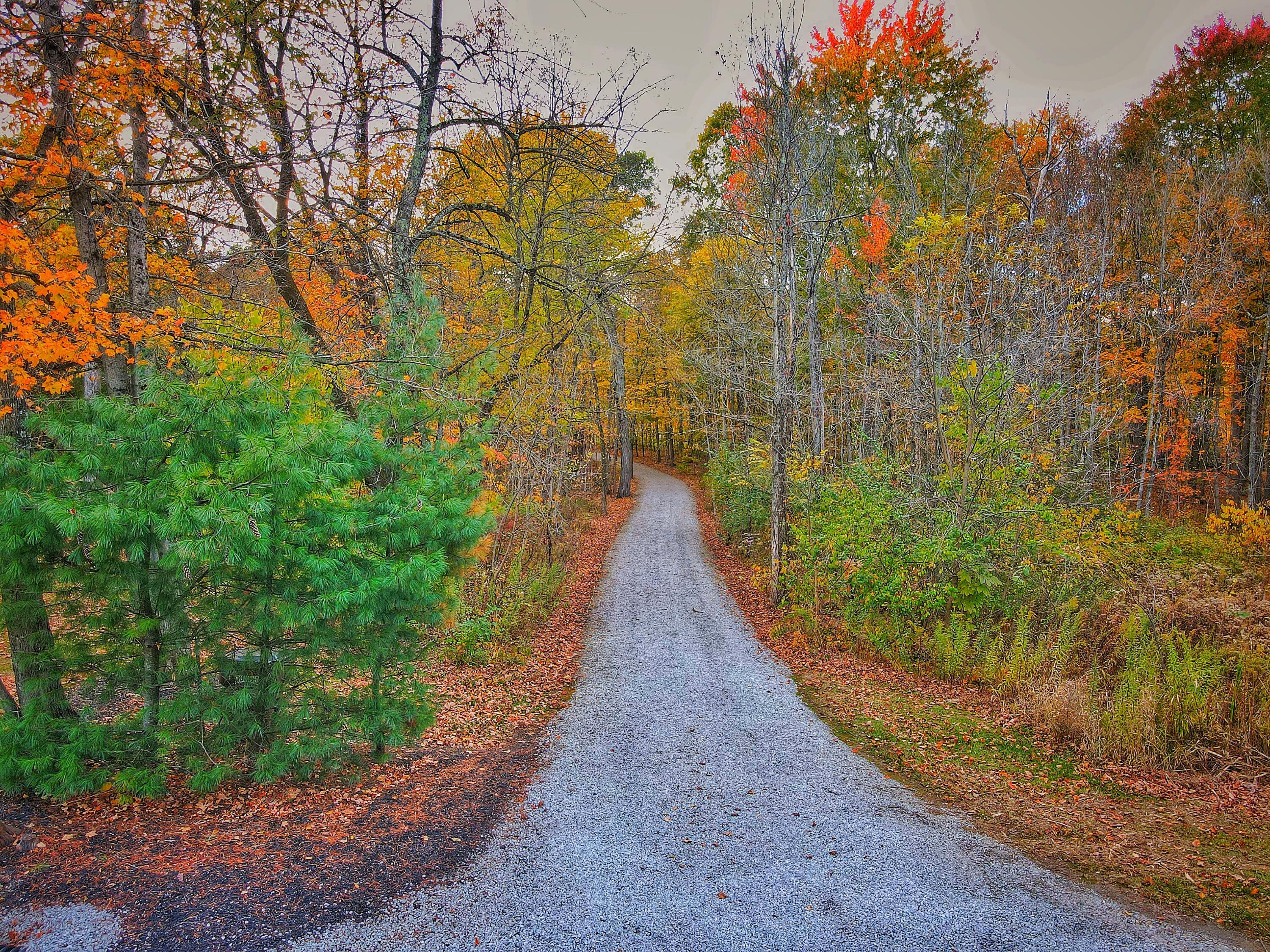 3704 Gale Road Granville, OH 43023 - Photo 67 of 72 dji_fly_20251027_174802_565_176160233739