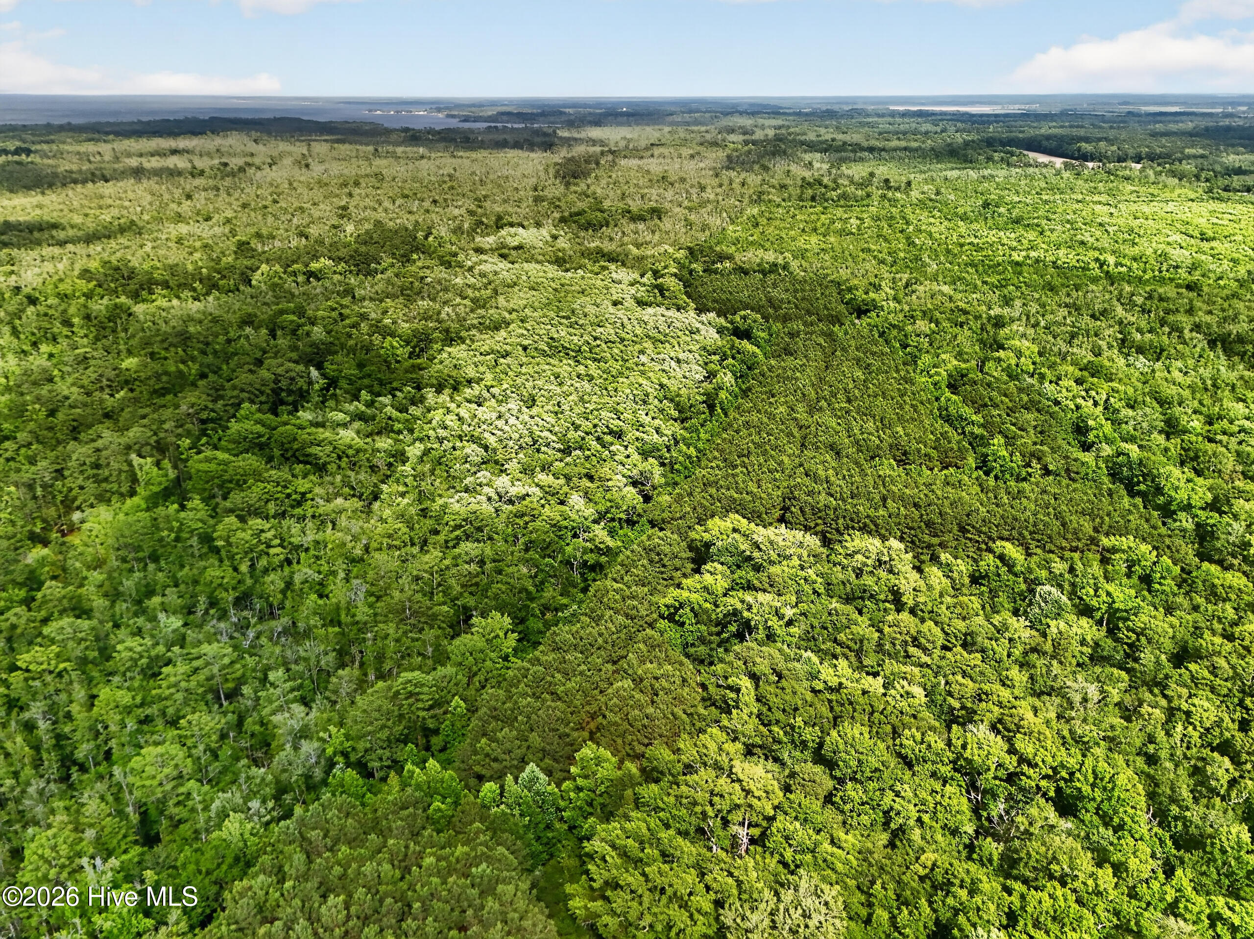 Tbd Pearidge Road Roper, NC 27970 - Photo 4 of 23