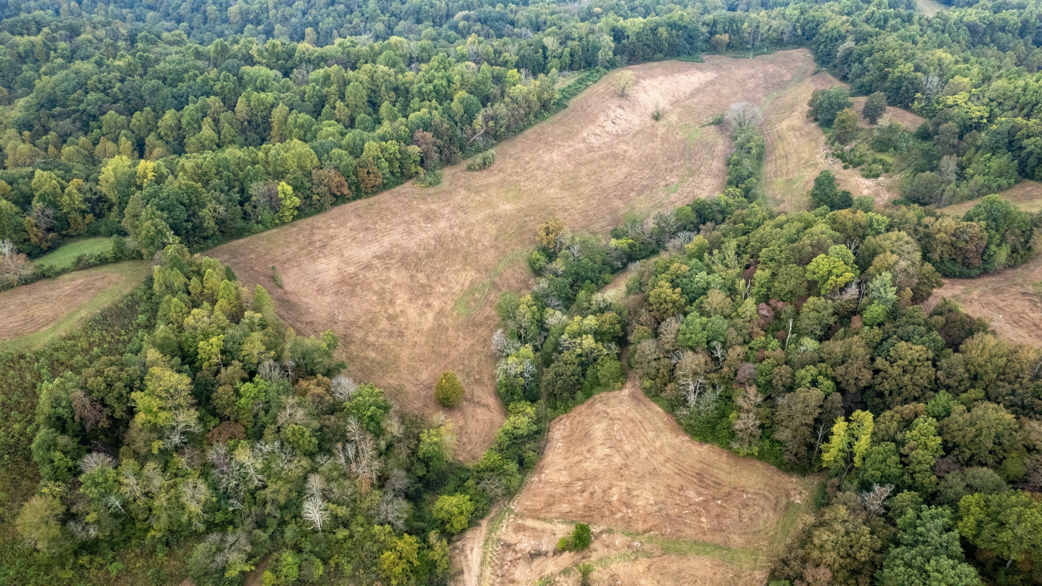 1 Noah Road Beechgrove, TN 37018 - Photo 11 of 32 an aerial view of a house with a yard and greenery