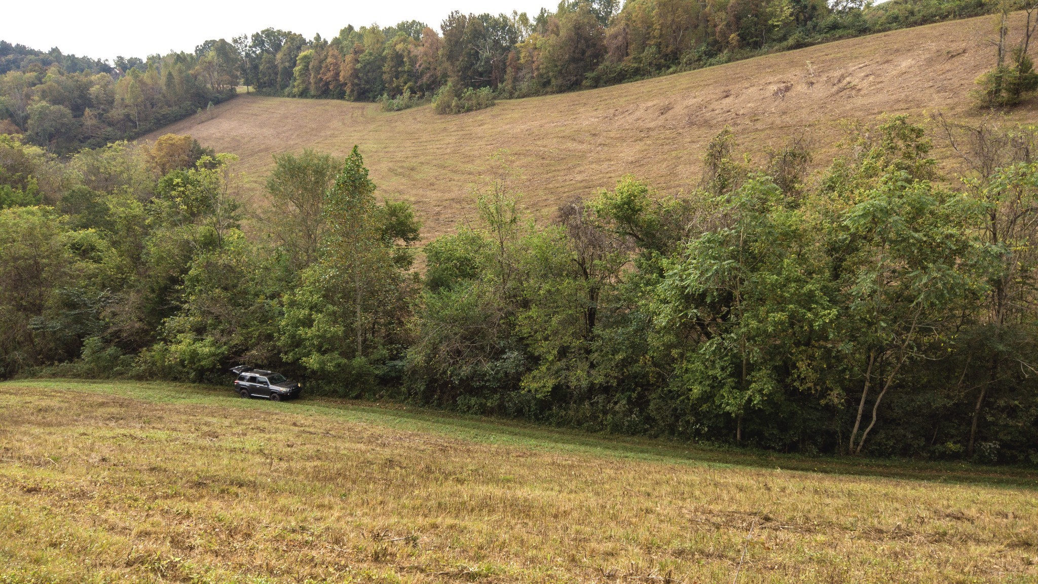 1 Noah Road Beechgrove, TN 37018 - Photo 15 of 32 a view of a yard