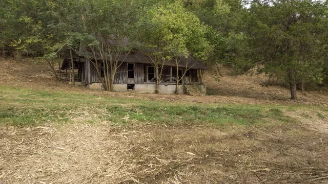 a backyard of a house with lots of green space