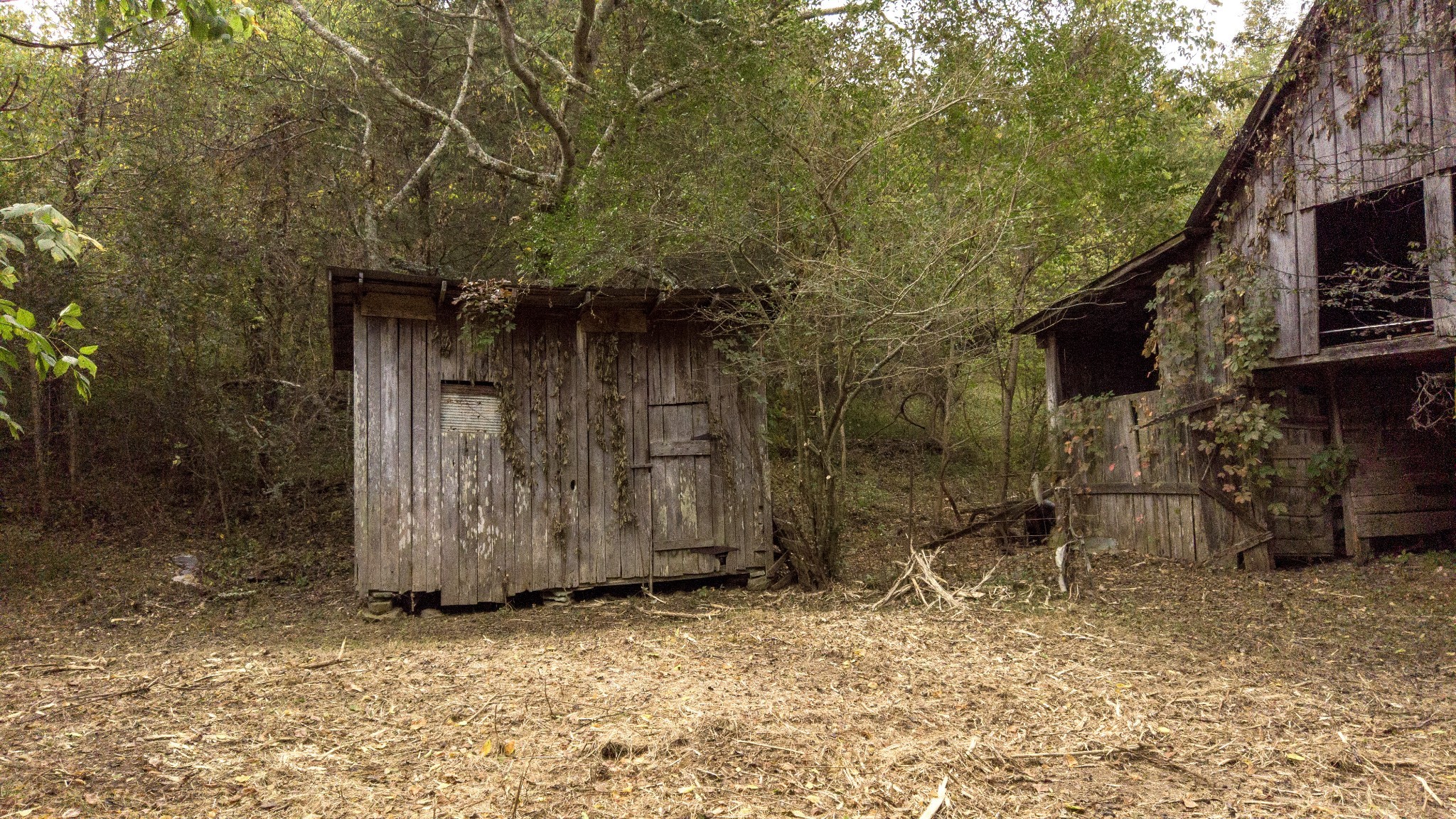 1 Noah Road Beechgrove, TN 37018 - Photo 20 of 32 a backyard of a house with lots of green space