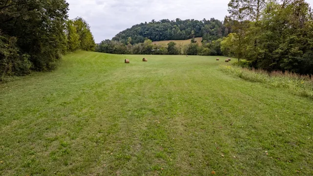 a view of yard with green space