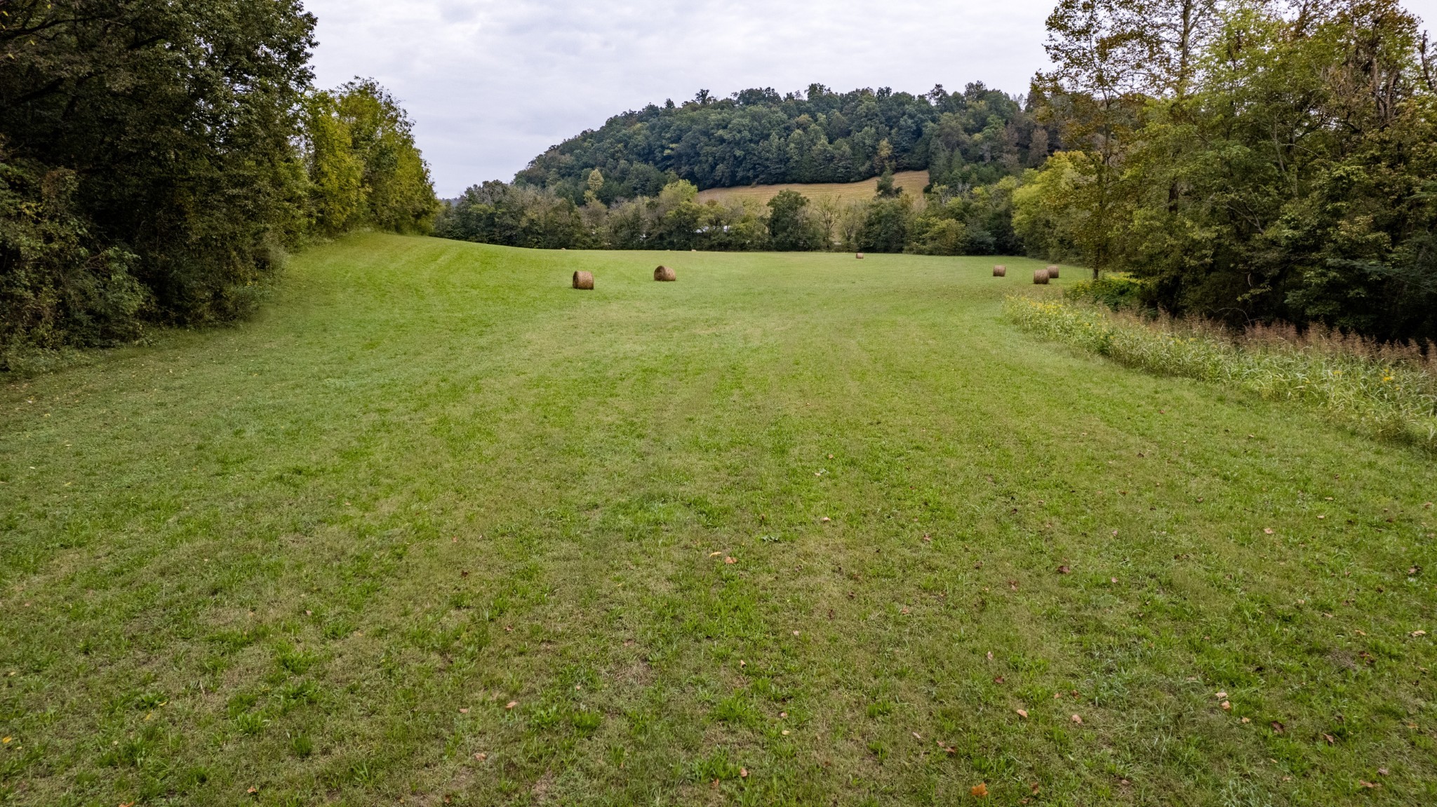 1 Noah Road Beechgrove, TN 37018 - Photo 2 of 32 a view of yard with green space
