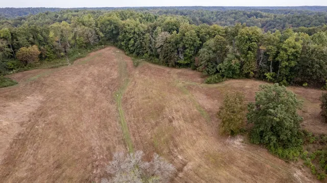 a view of a garden with pathway