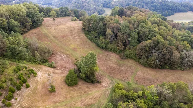 an aerial view of residential house with outdoor space