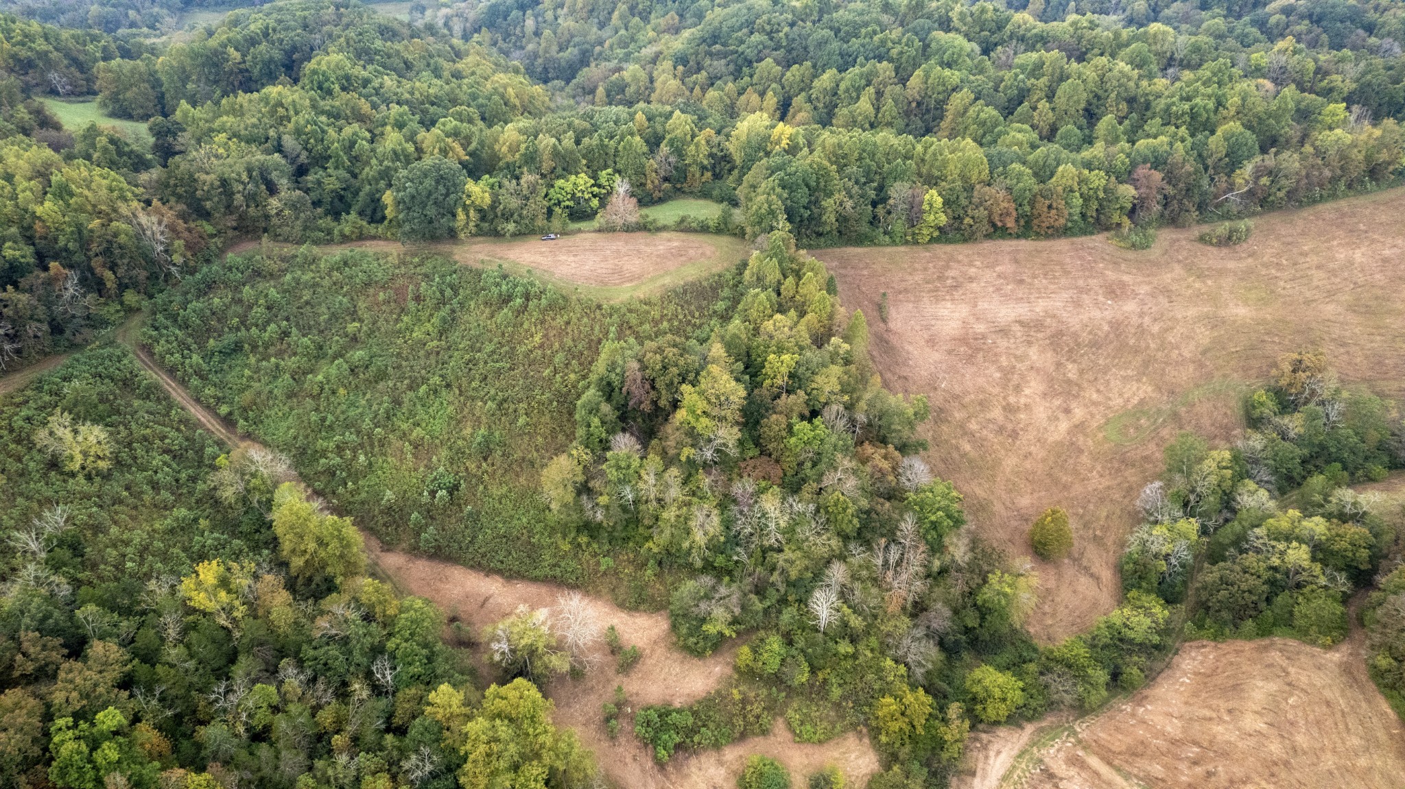 1 Noah Road Beechgrove, TN 37018 - Photo 26 of 32 a view of a forest with a yard