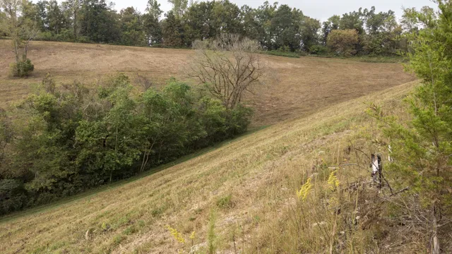 a view of a field of grass and trees