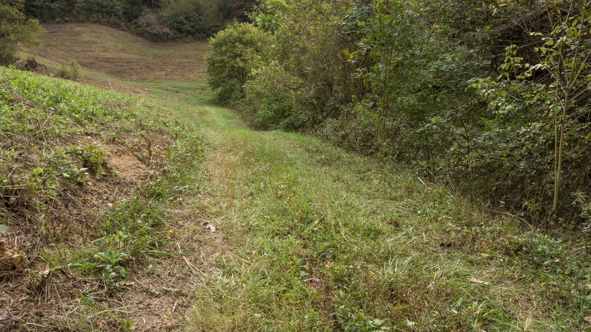 1 Noah Road Beechgrove, TN 37018 - Photo 30 of 32 a view of a field of grass and trees