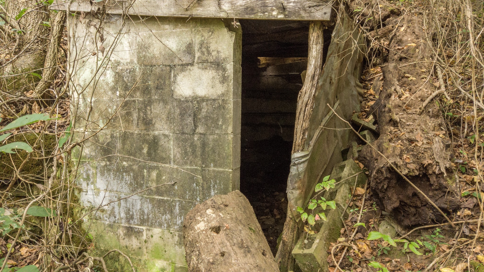 1 Noah Road Beechgrove, TN 37018 - Photo 31 of 32 a bathroom with a shower