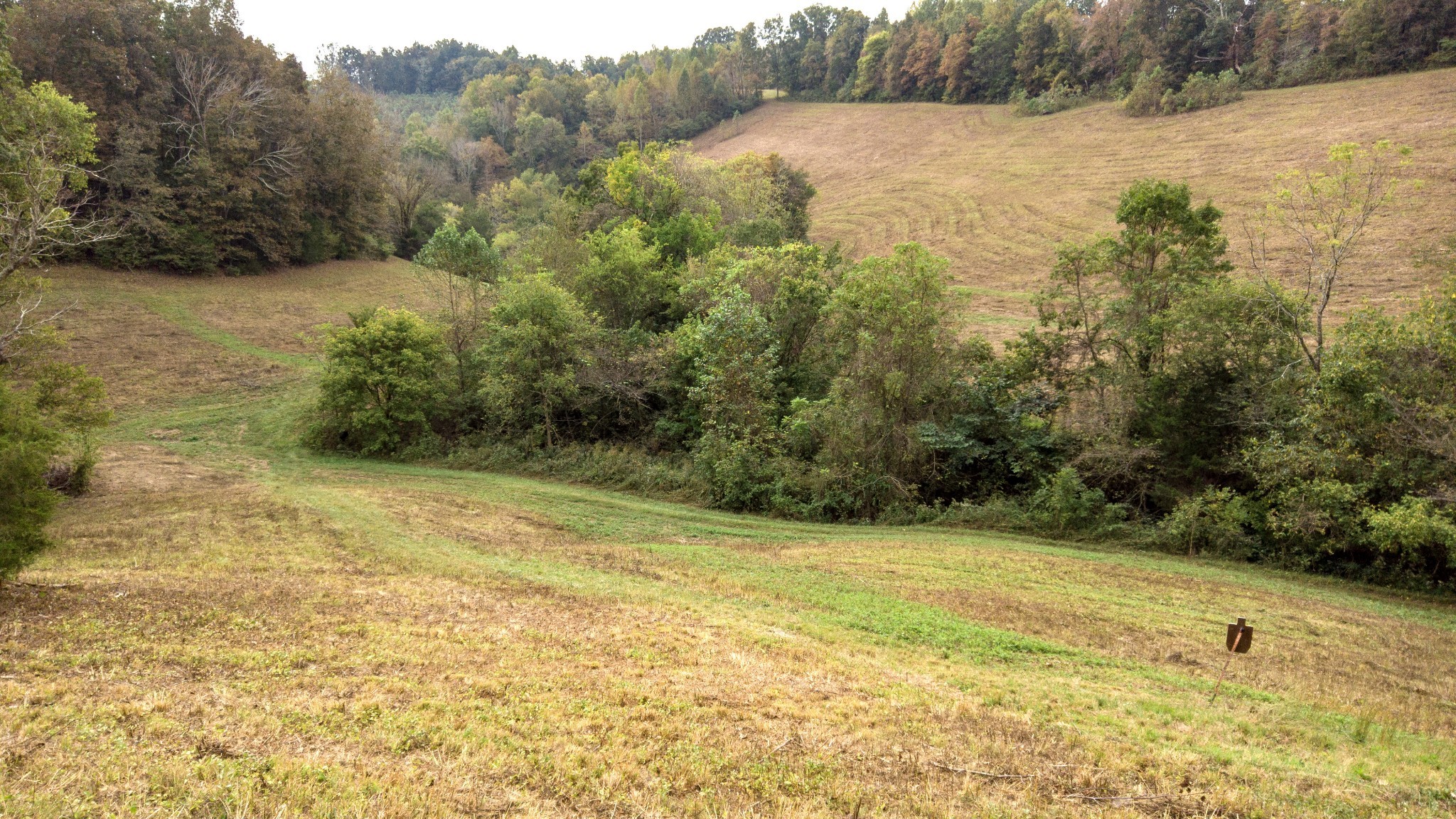 1 Noah Road Beechgrove, TN 37018 - Photo 4 of 32