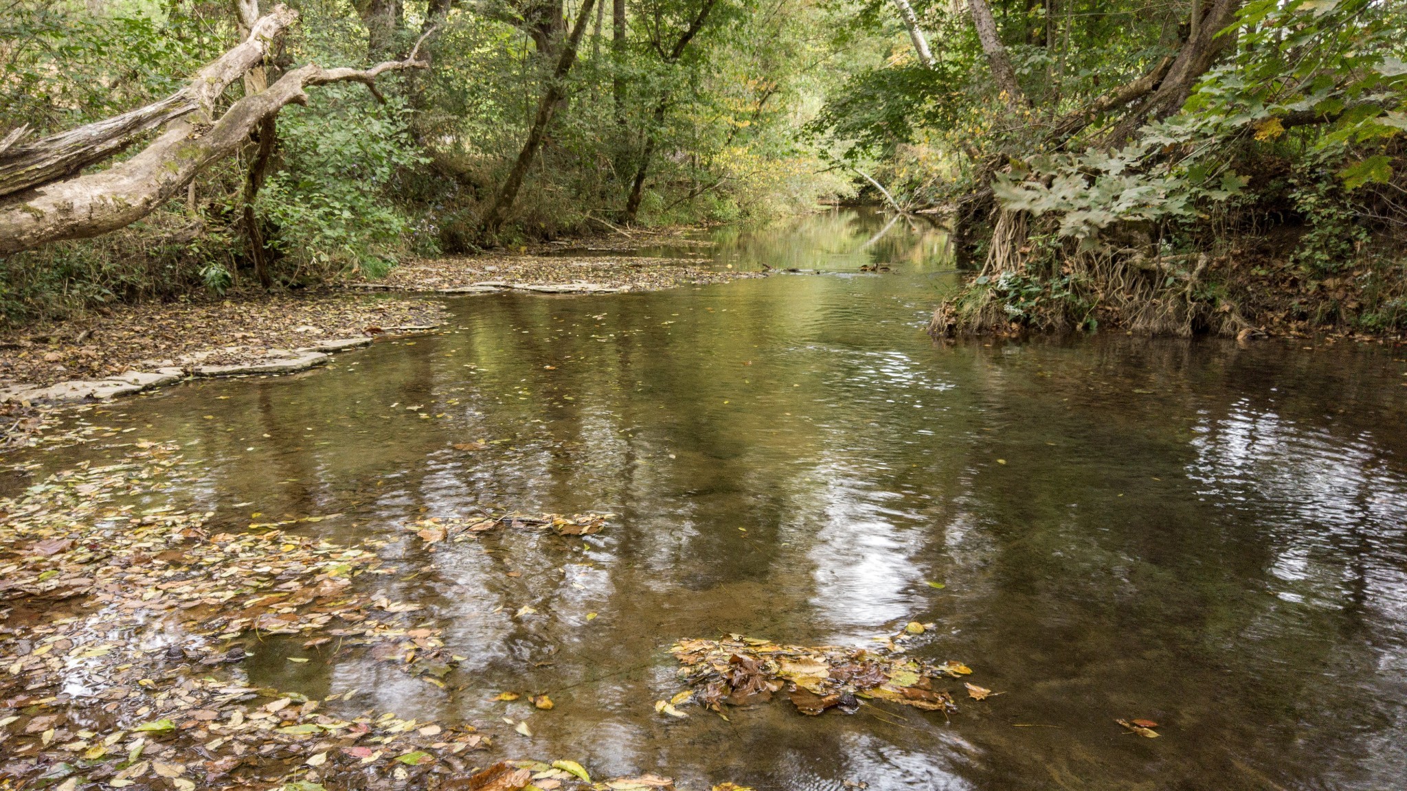 1 Noah Road Beechgrove, TN 37018 - Photo 5 of 32 a view of lake view