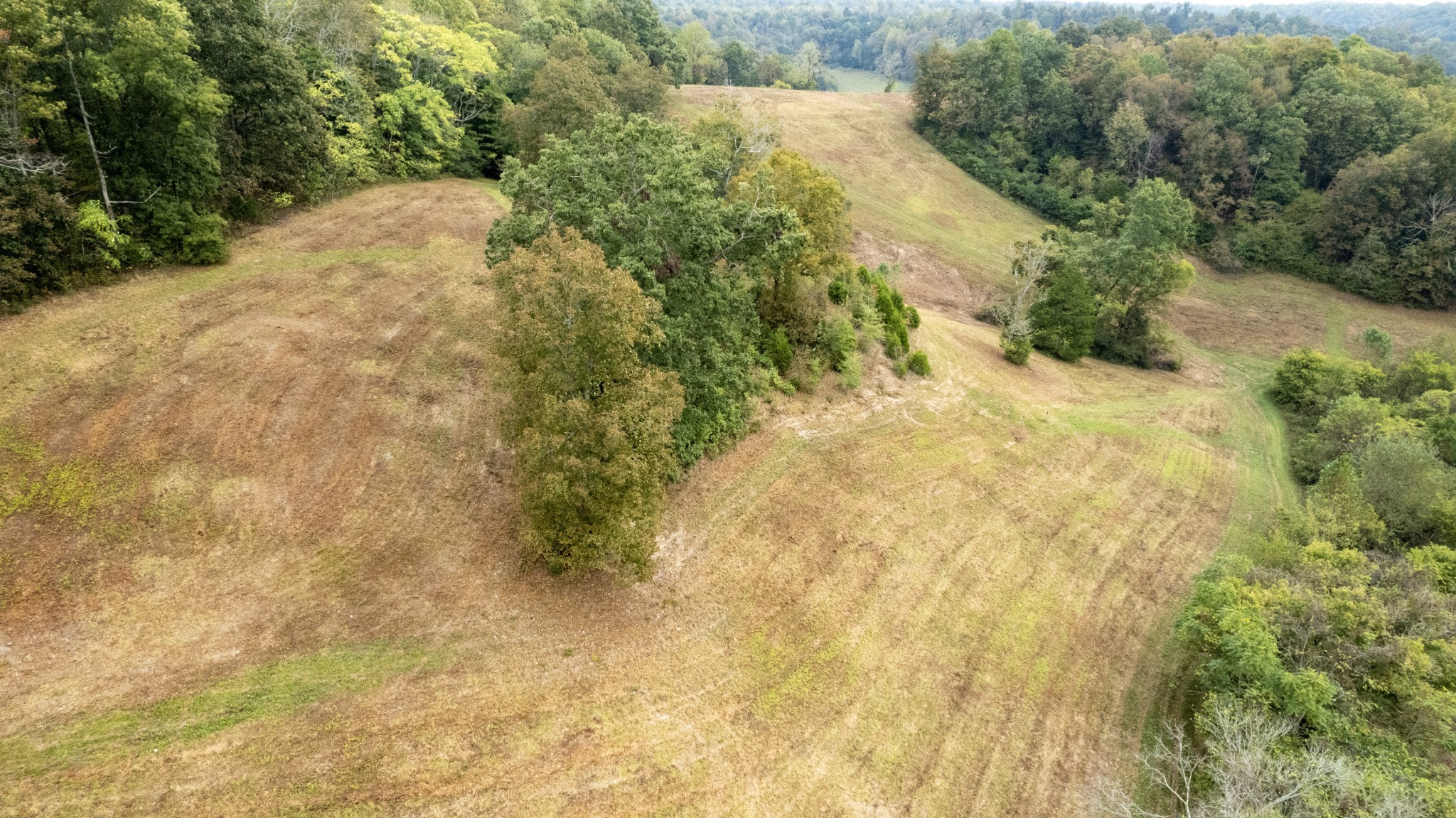 1 Noah Road Beechgrove, TN 37018 - Photo 6 of 32 a view of a yard with plants and large trees