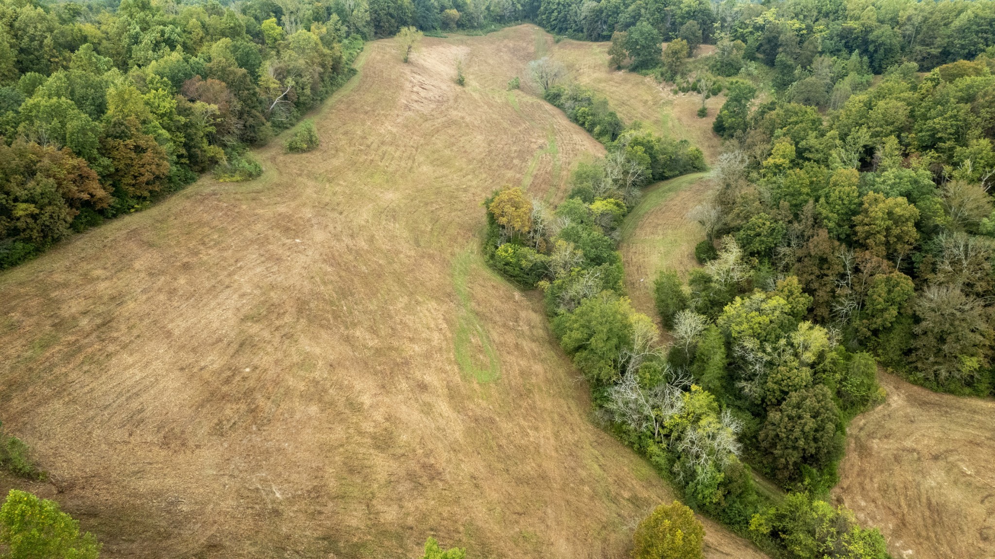 1 Noah Road Beechgrove, TN 37018 - Photo 7 of 32 a view of a yard with plants