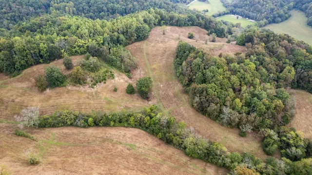 a view of a garden with a pathway
