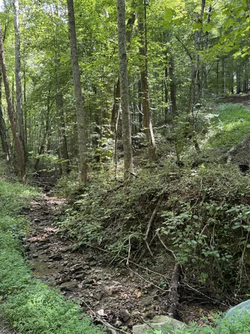 a aerial view of a house with a yard